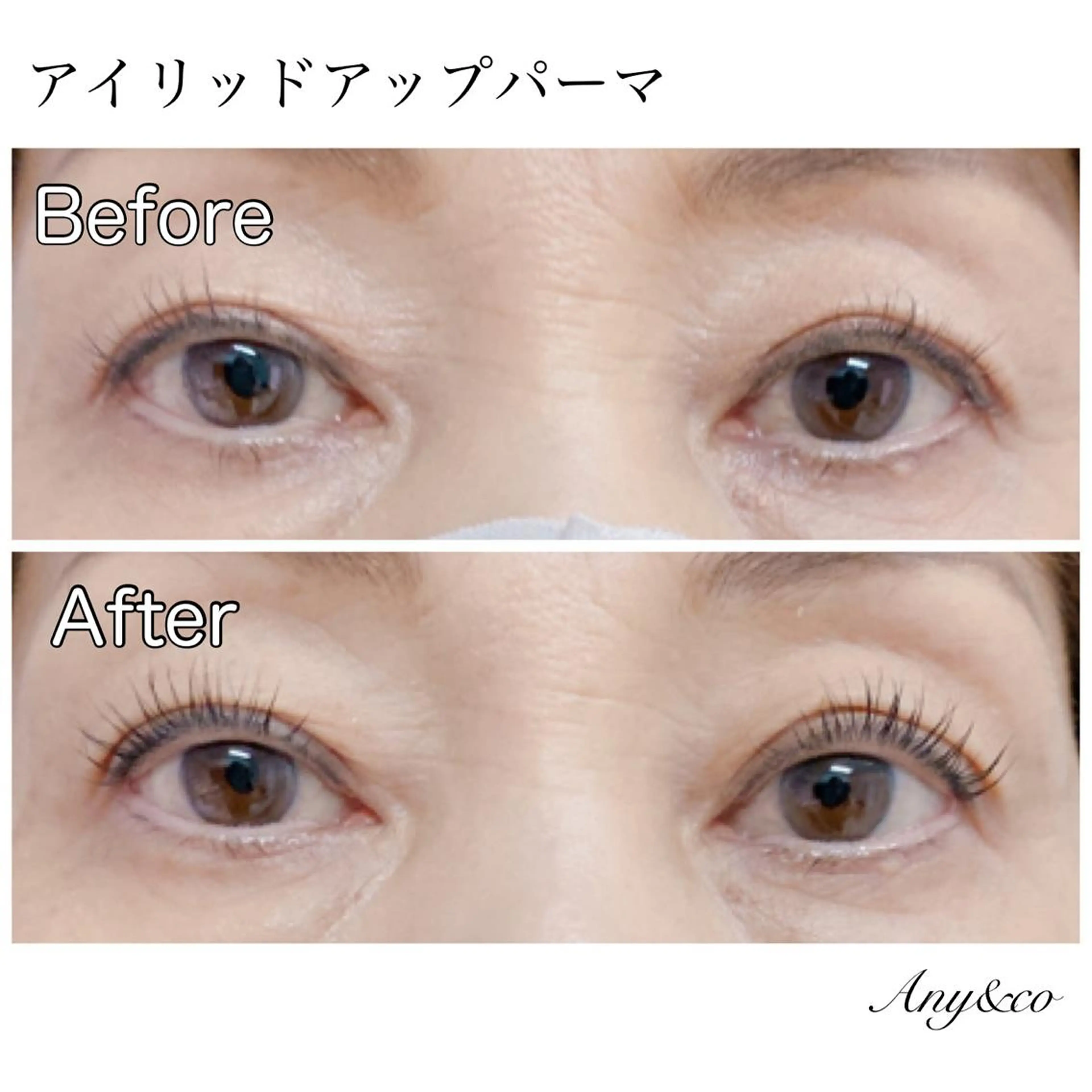 マツエク・マツパ アイリッドアップパーマ Any&co 【エニコ】のマツエク・マツパデザイン