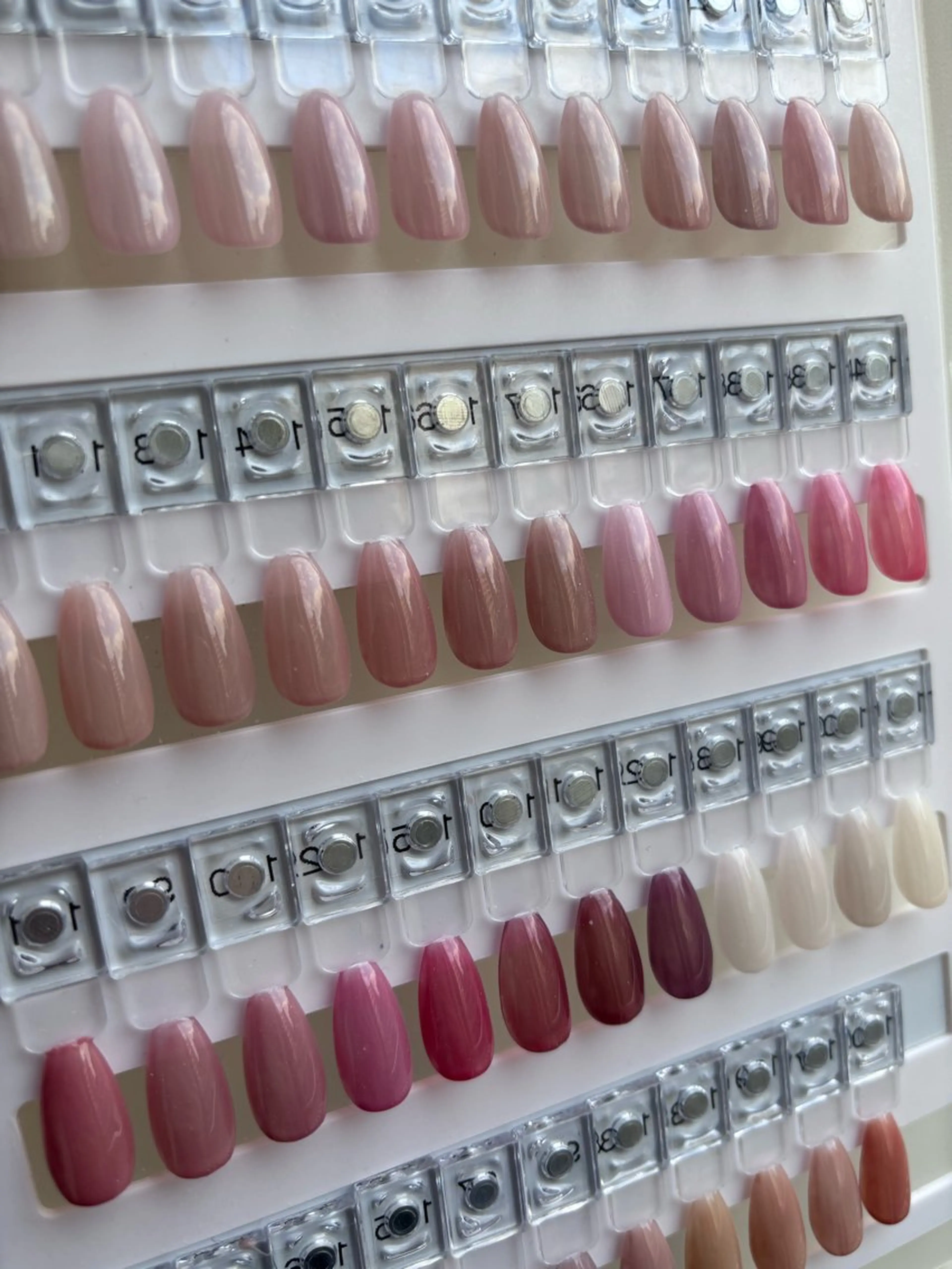 ワンカラーの写真