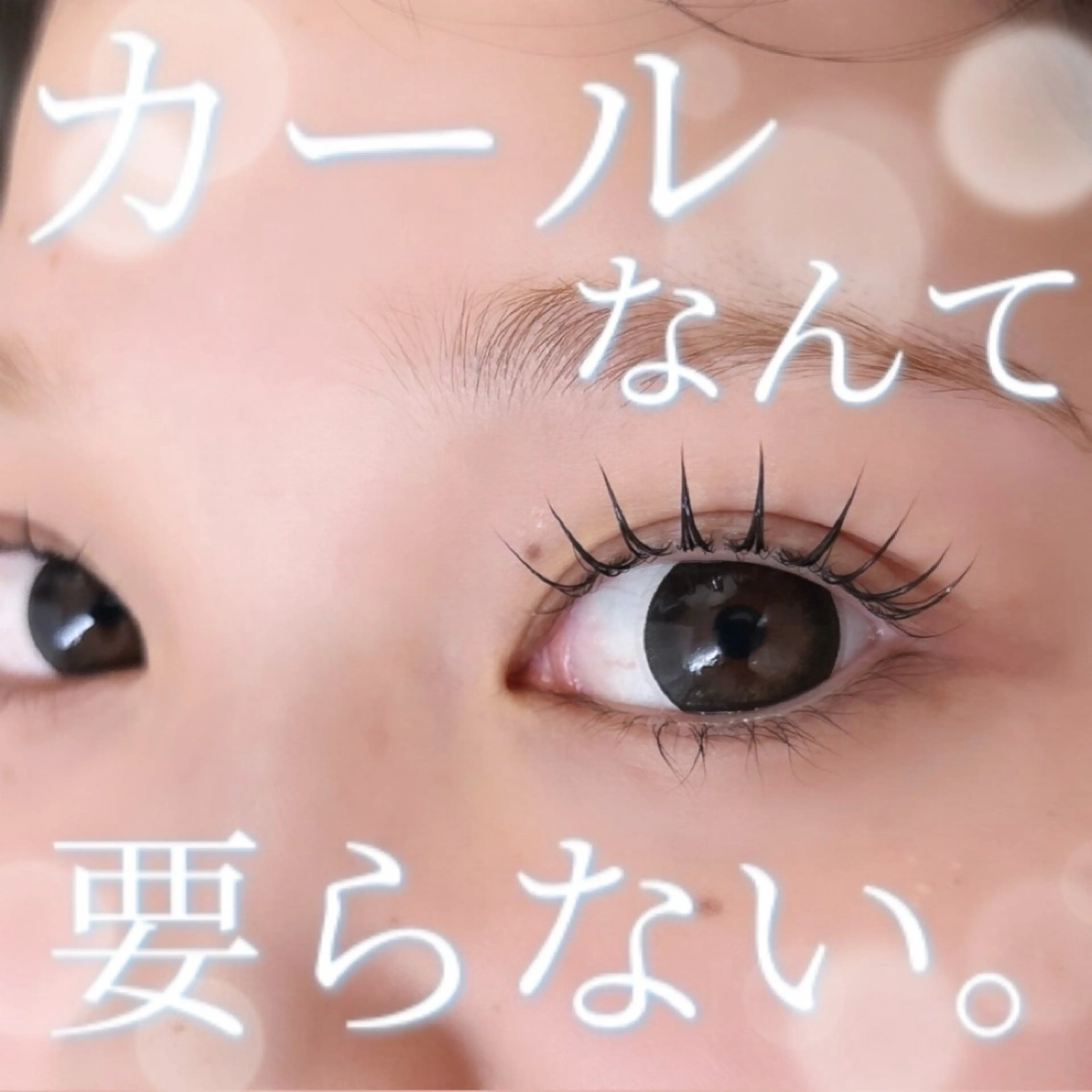 マツエク・マツパ 韓国風マツエク マツパ Sylph 阿倍野のマツエク・マツパデザイン