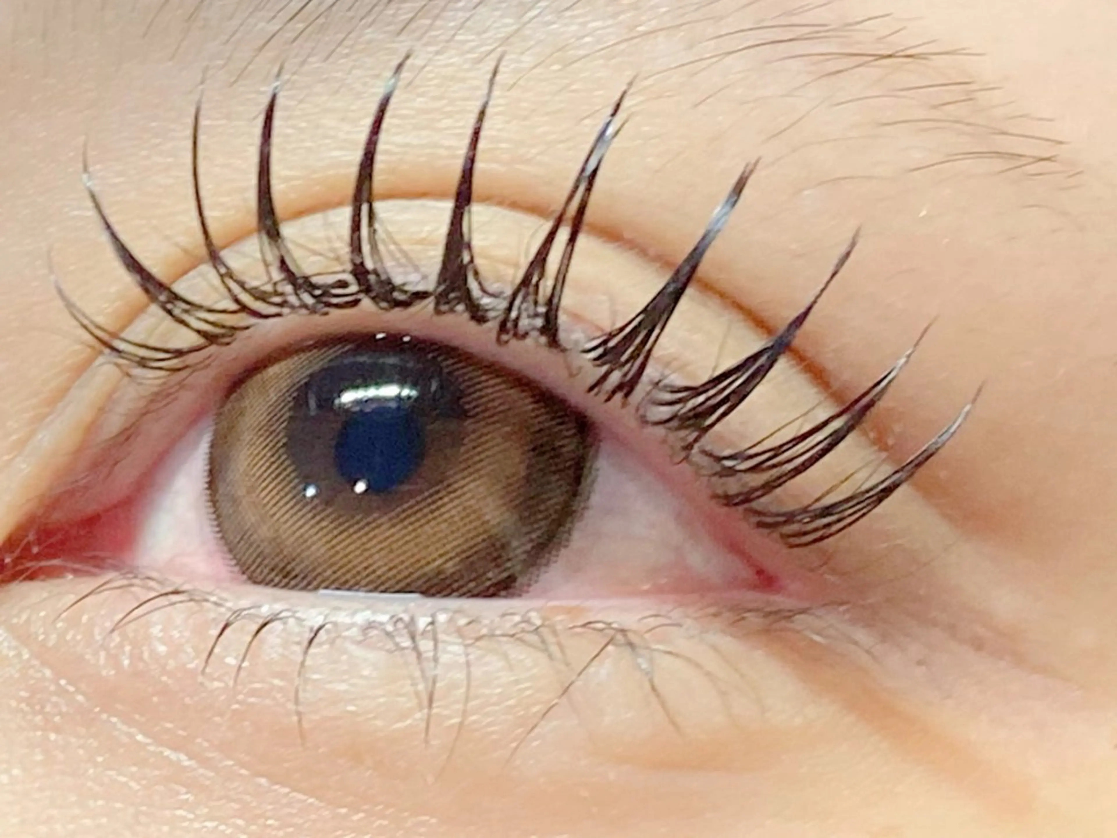 マツエク・マツパ フラットラッシュ ungu 直江のマツエク・マツパデザイン