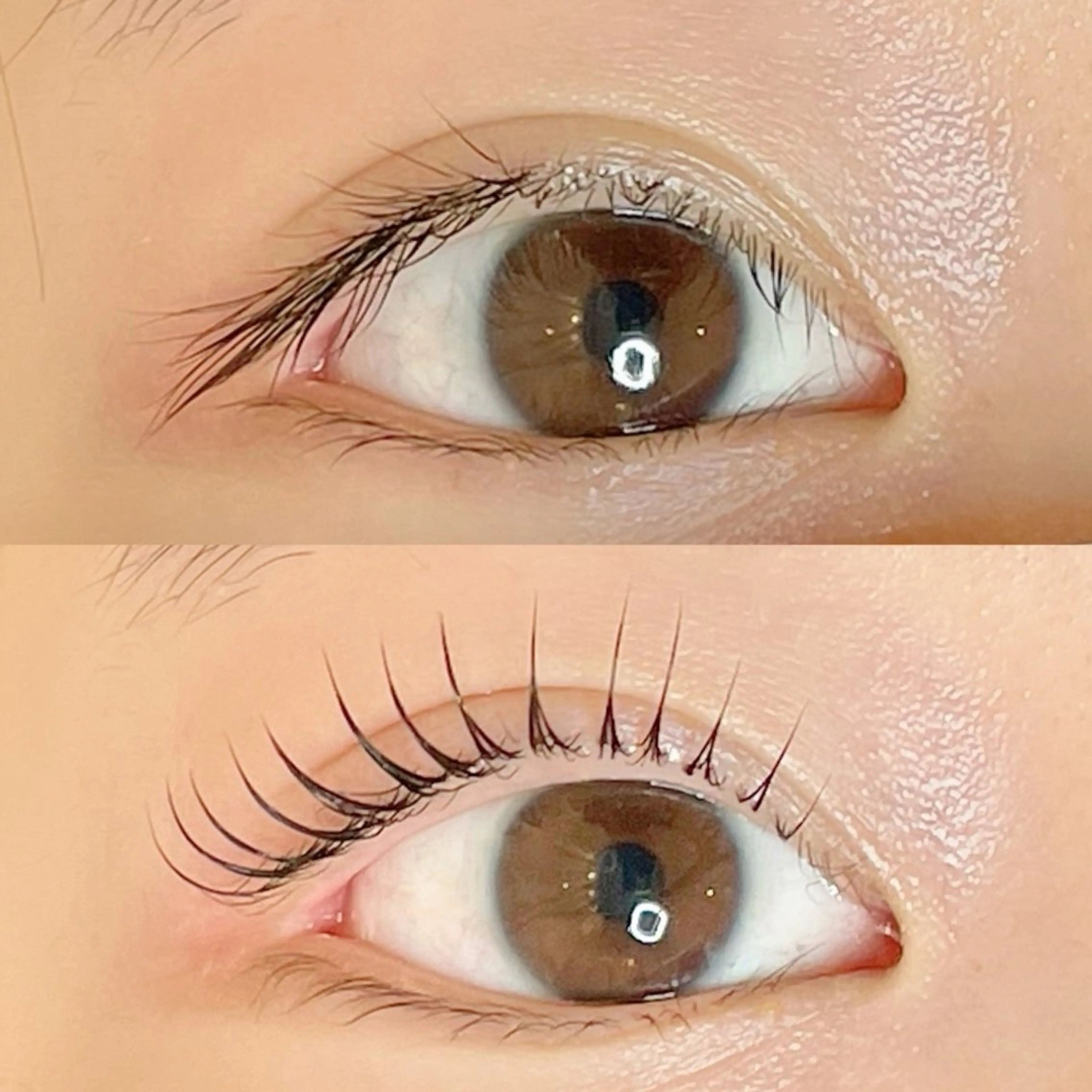 マツエク・マツパ マツパ AYLASH🧡 猪又のマツエク・マツパデザイン