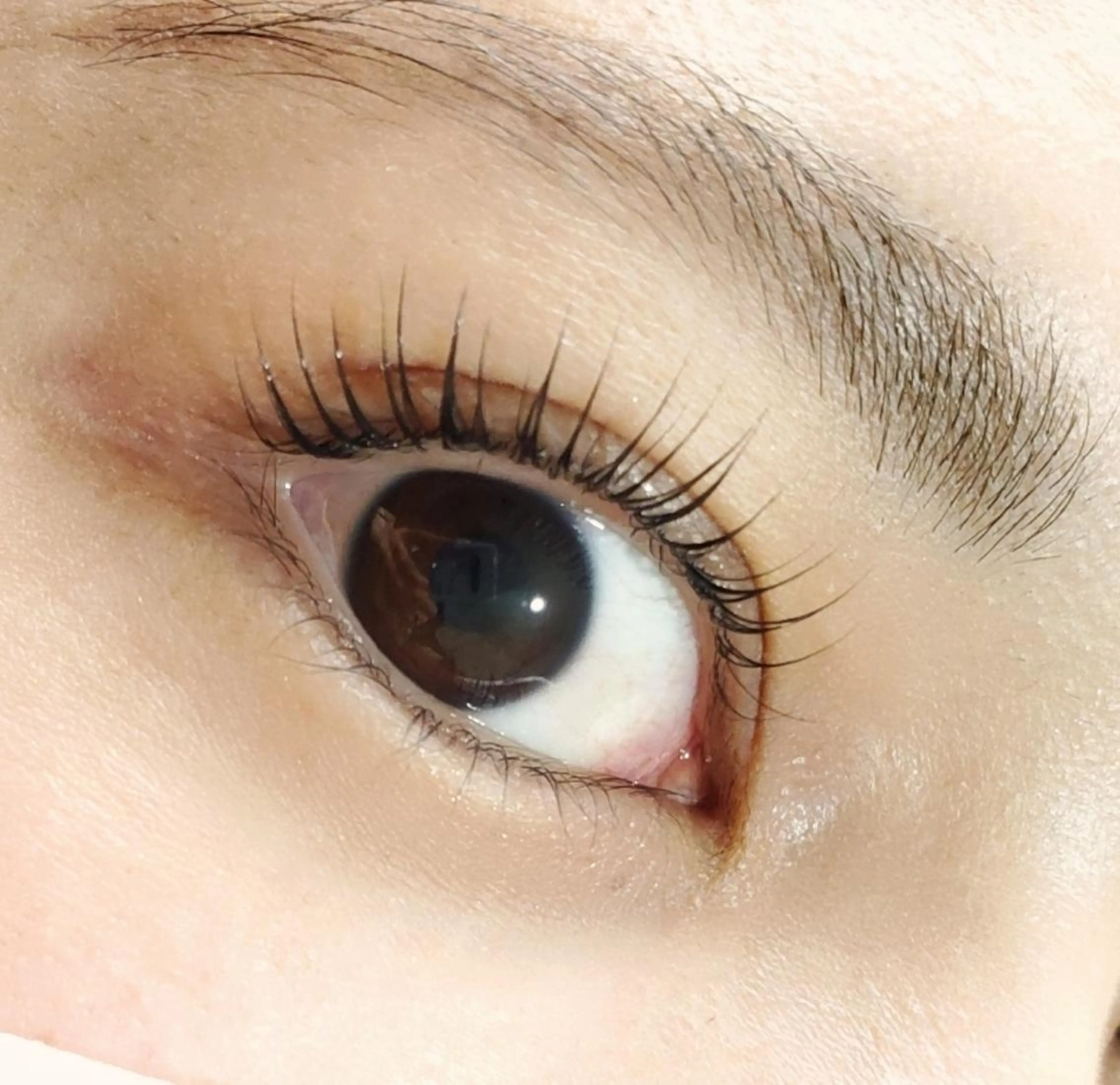 マツエク・マツパ ant_u🌷 arisaのマツエク・マツパデザイン