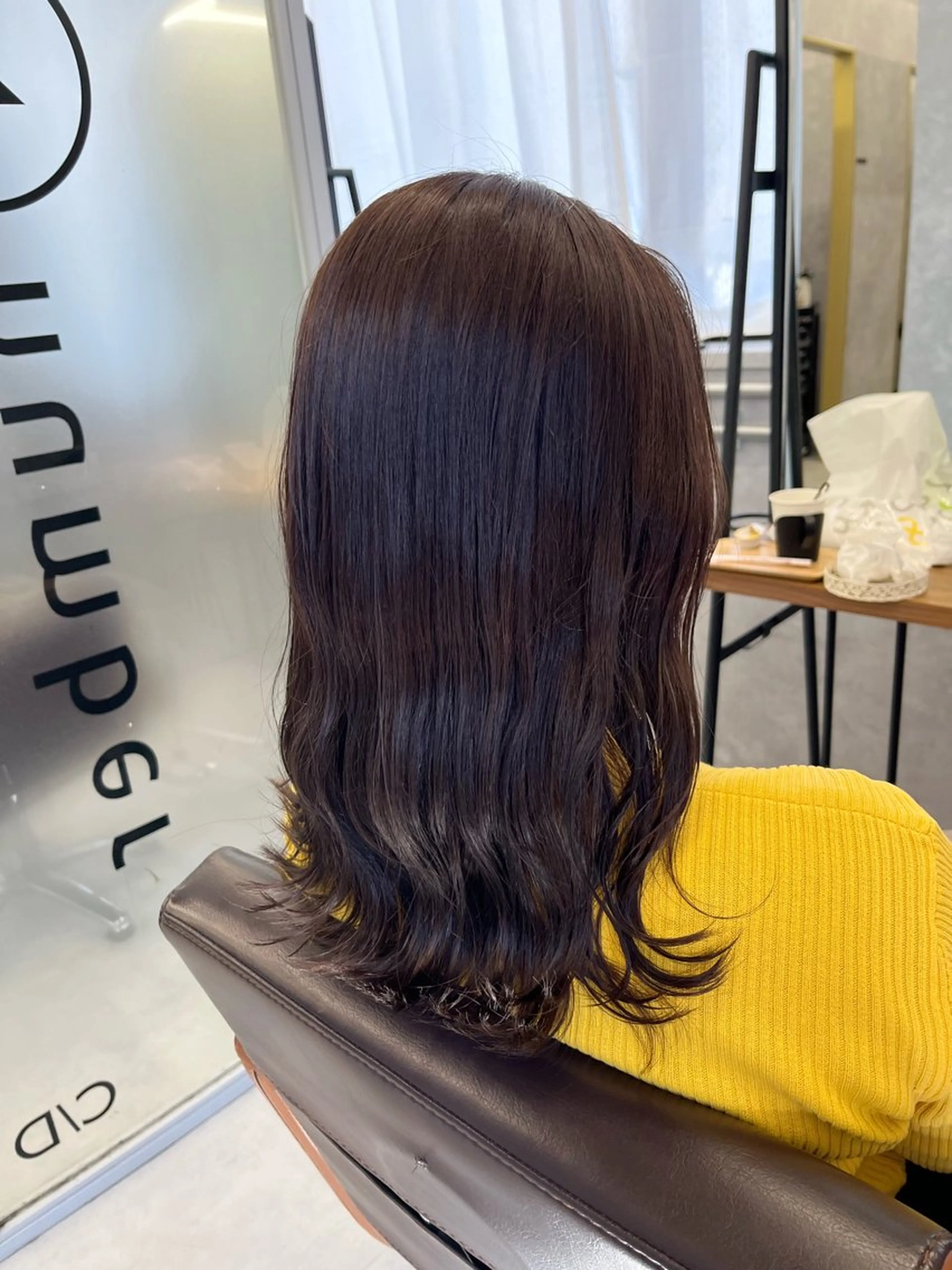 セミロング カラー ブラウンカラー パープルカラー パープルブラウン カット ヘアカラー トリートメント yuri🌼 NUMBER 天王寺のヘアスタイル
