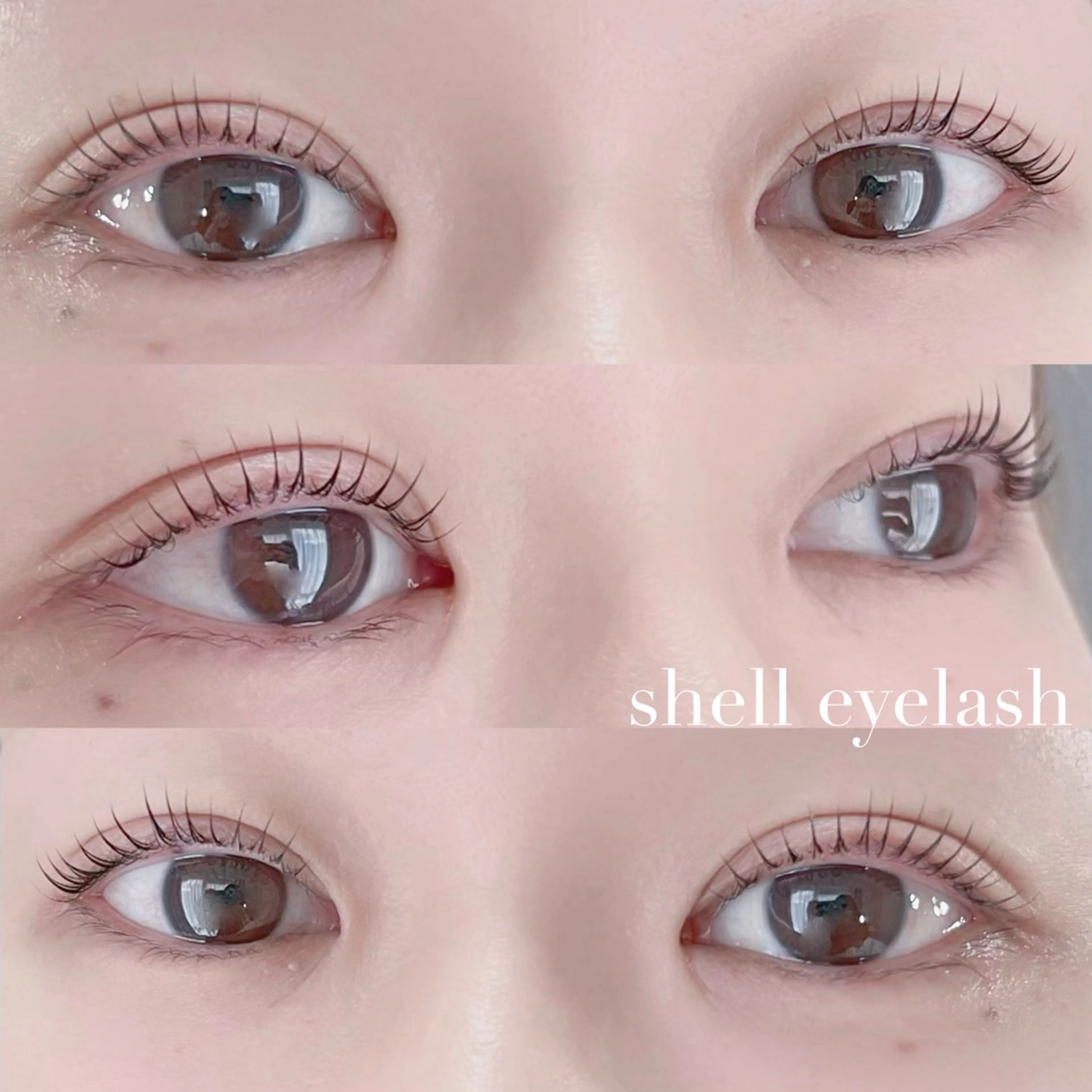 マツエク・マツパ マツパ Shell  eyelash所属・Shell 自由が丘のマツエク・マツパデザイン