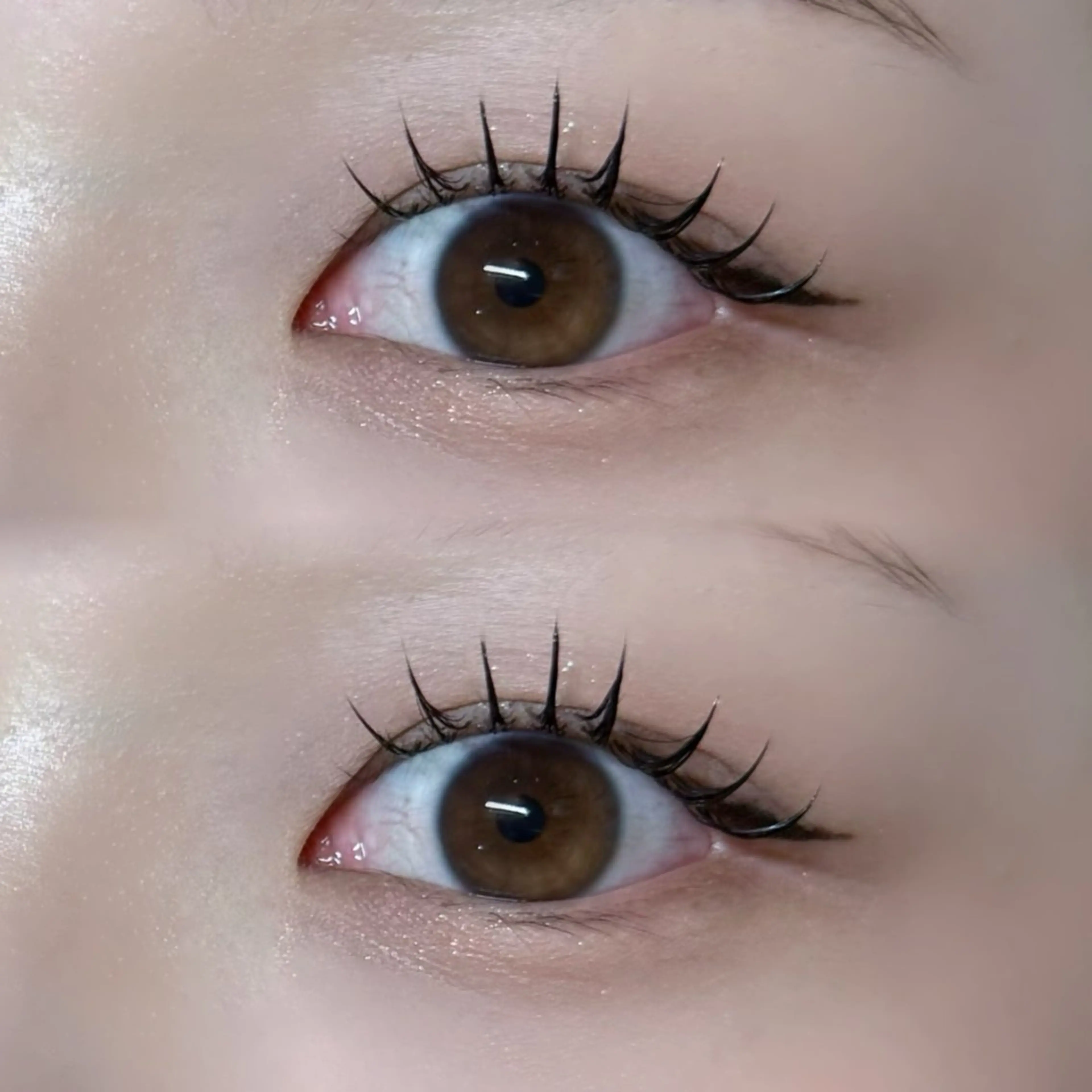 マツエク・マツパ フラットラッシュ ナチュラル マツエク Lunella RENAのマツエク・マツパデザイン