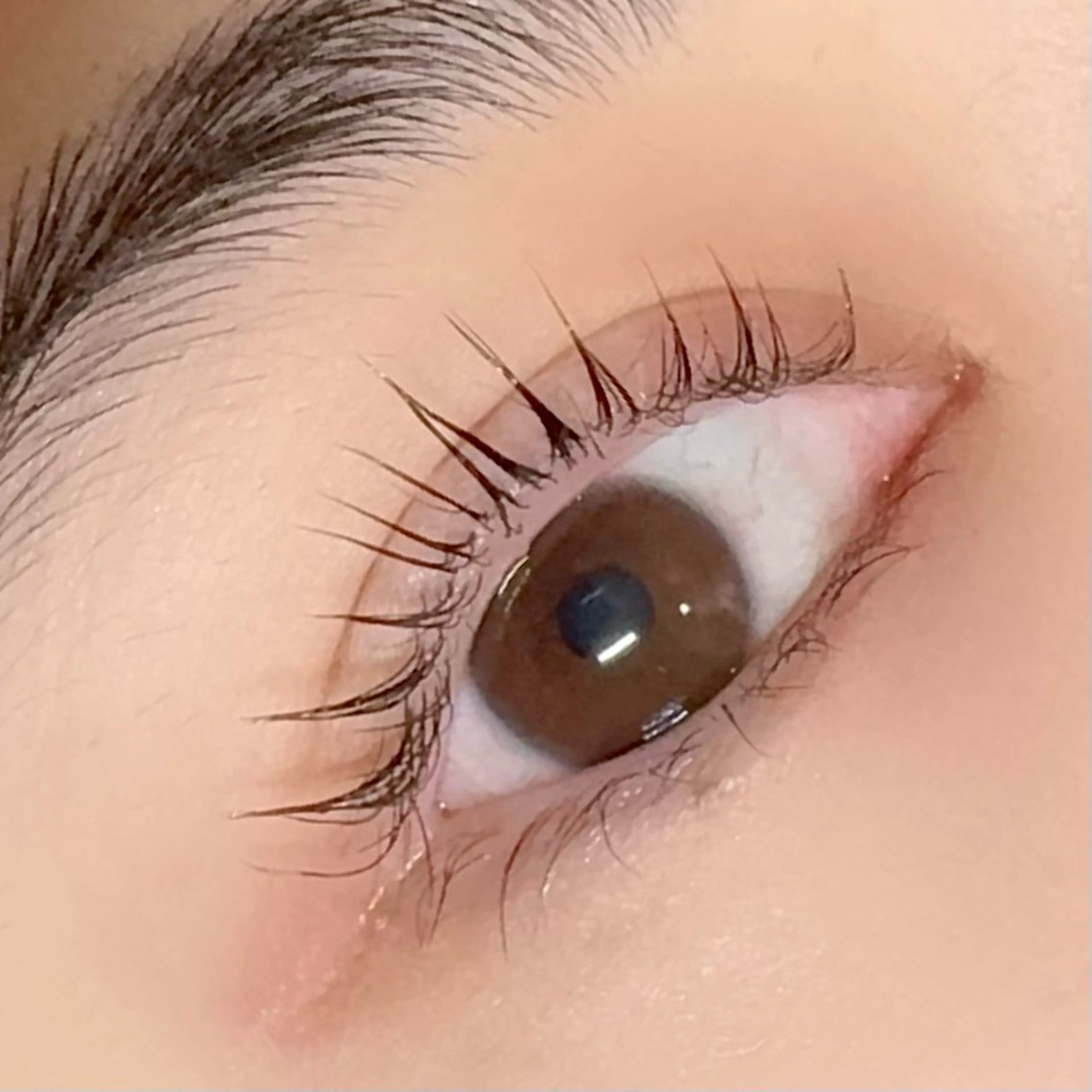 【朝活に人気】まつげパーマ上 アイシャンプー付(約60分)の写真