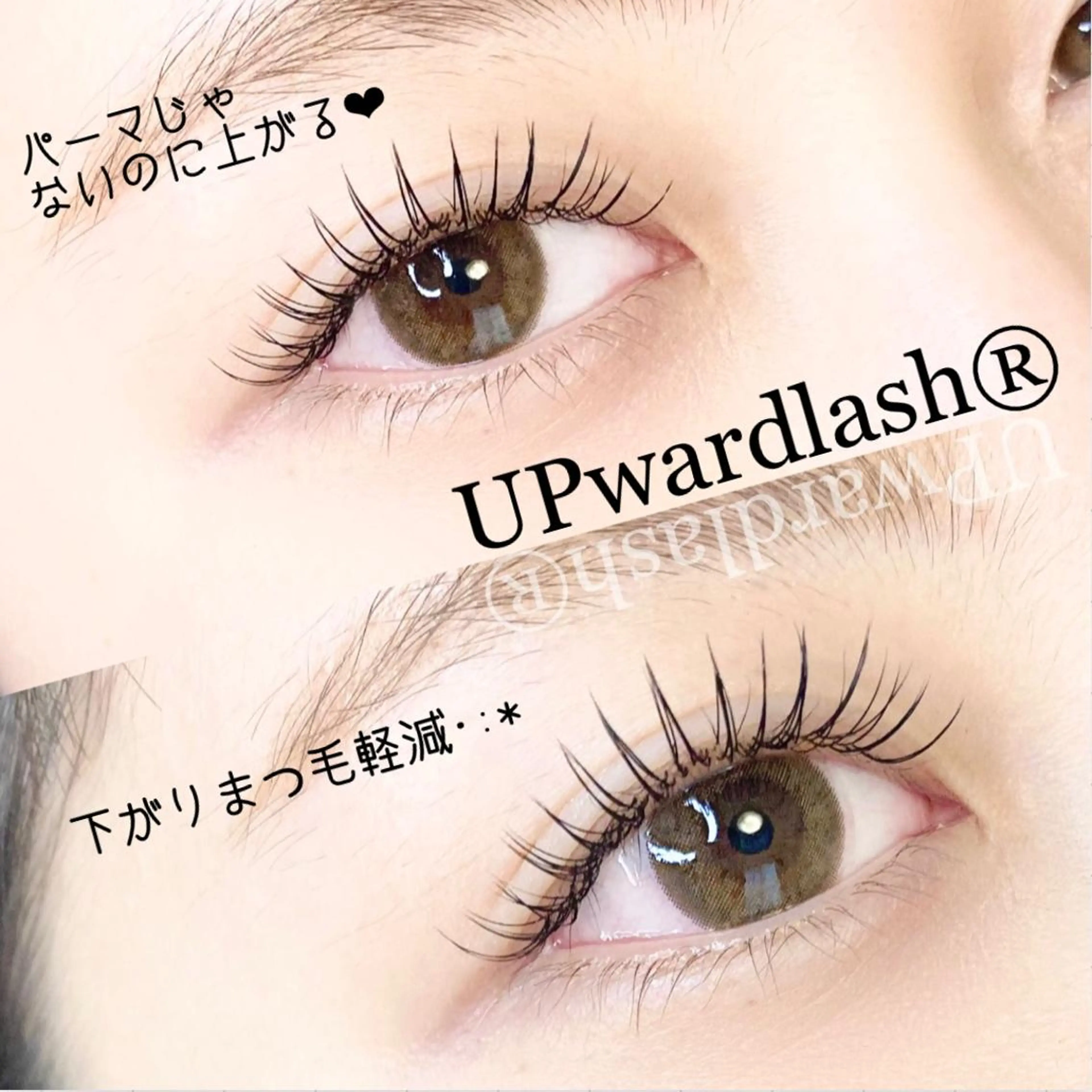 マツエク・マツパ アップワードラッシュ 💎ラズフルール Laz Fleurのマツエク・マツパデザイン