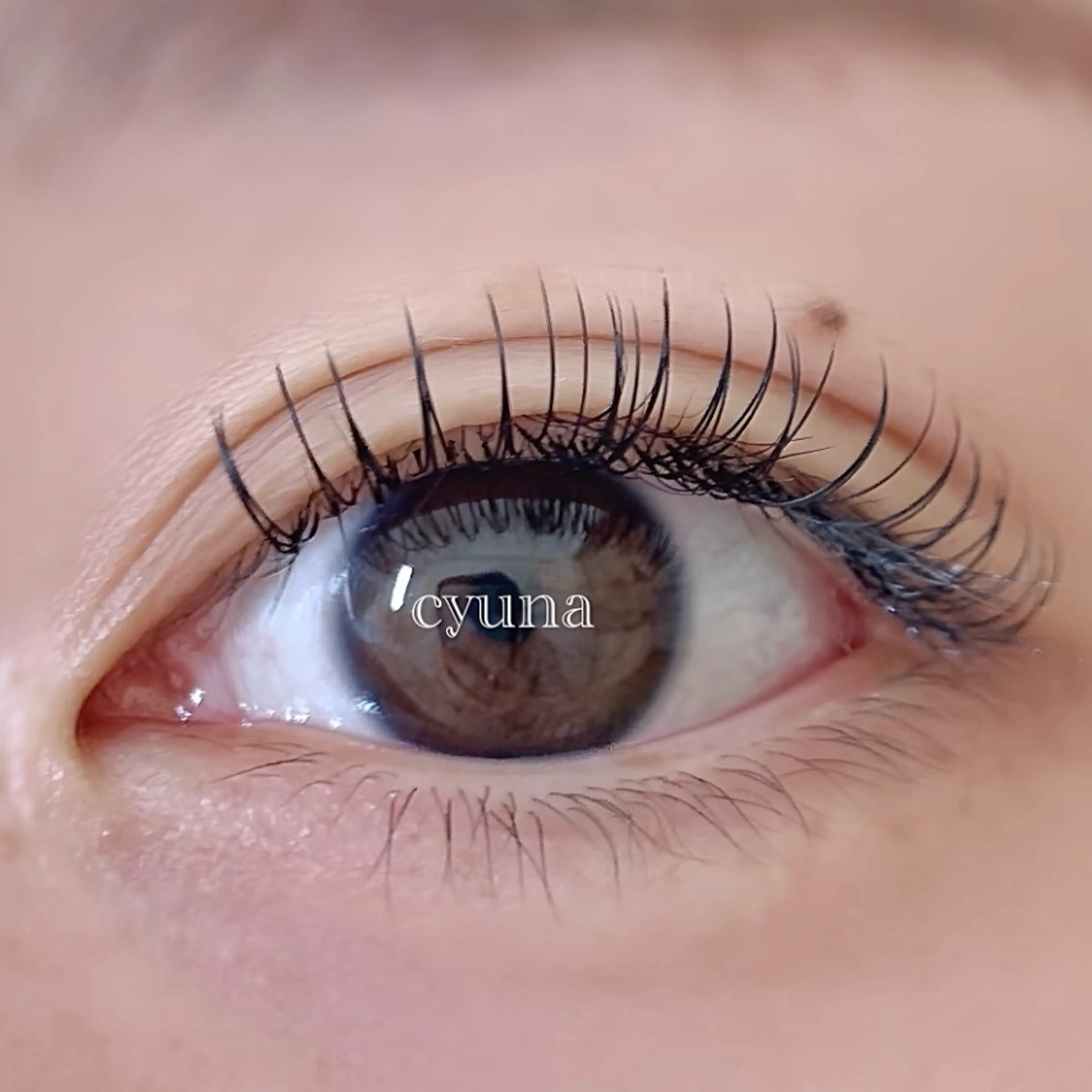 マツエク・マツパ フラットラッシュ マツエク専門店 cyunaのマツエク・マツパデザイン