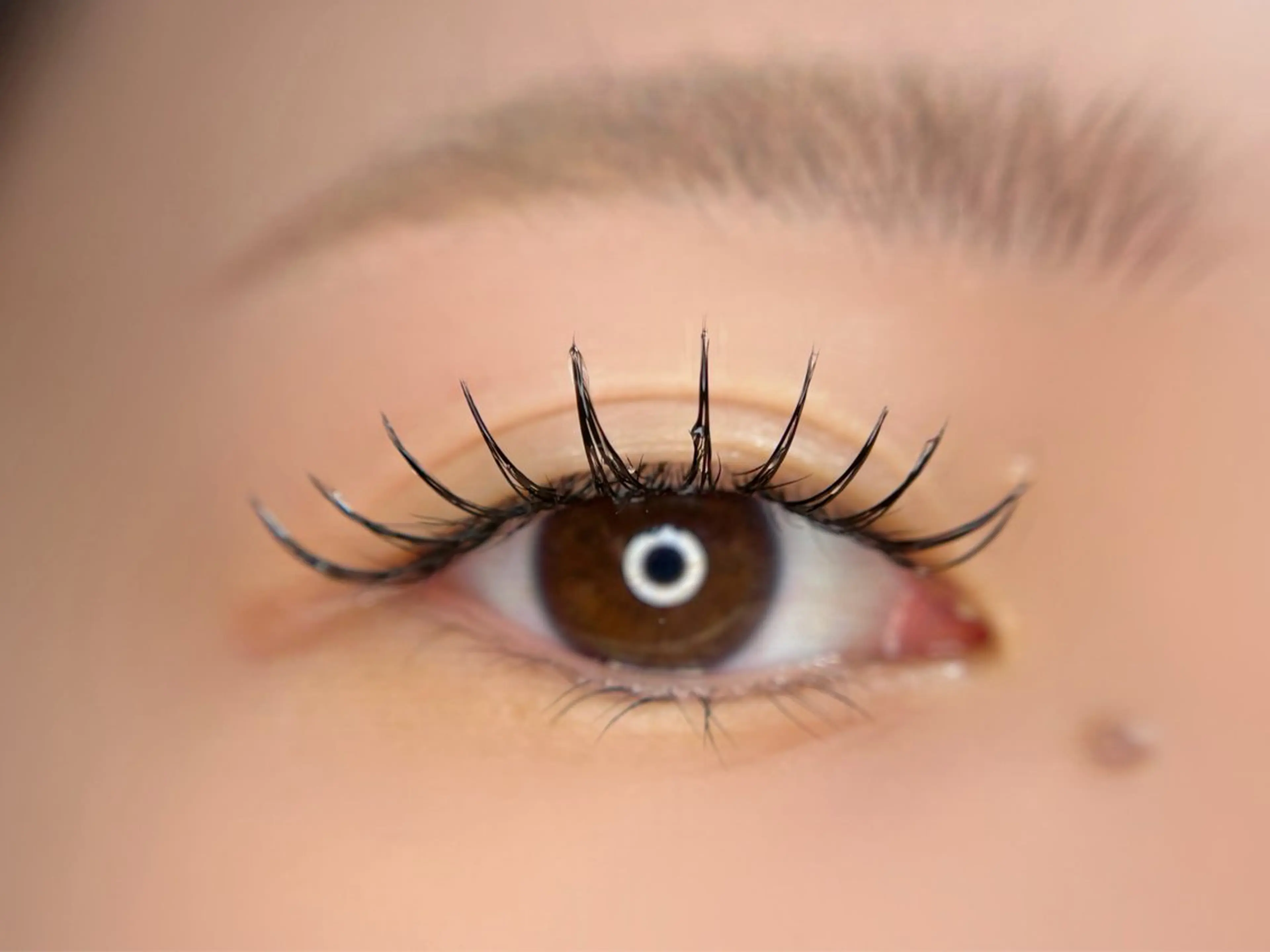 マツエク・マツパ フラットラッシュ 🦋MaaZlash 南流山FUKA🤍のマツエク・マツパデザイン