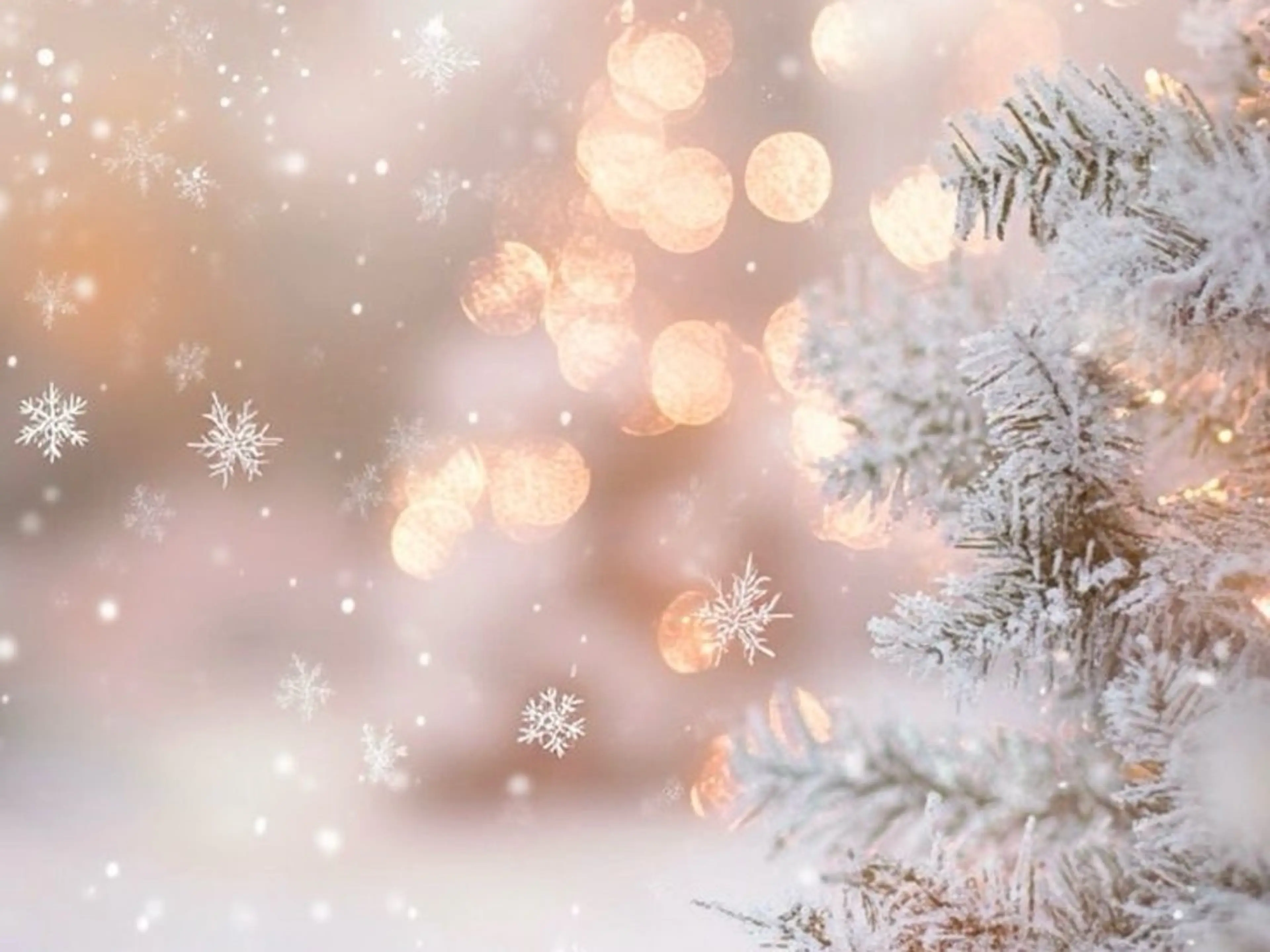 マツエク・マツパ フラットラッシュ 韓国風マツエク ナチュラル パリジェンヌラッシュリフト まつげパーマ 浦和駅近完全個室 Michikoのマツエク・マツパデザイン