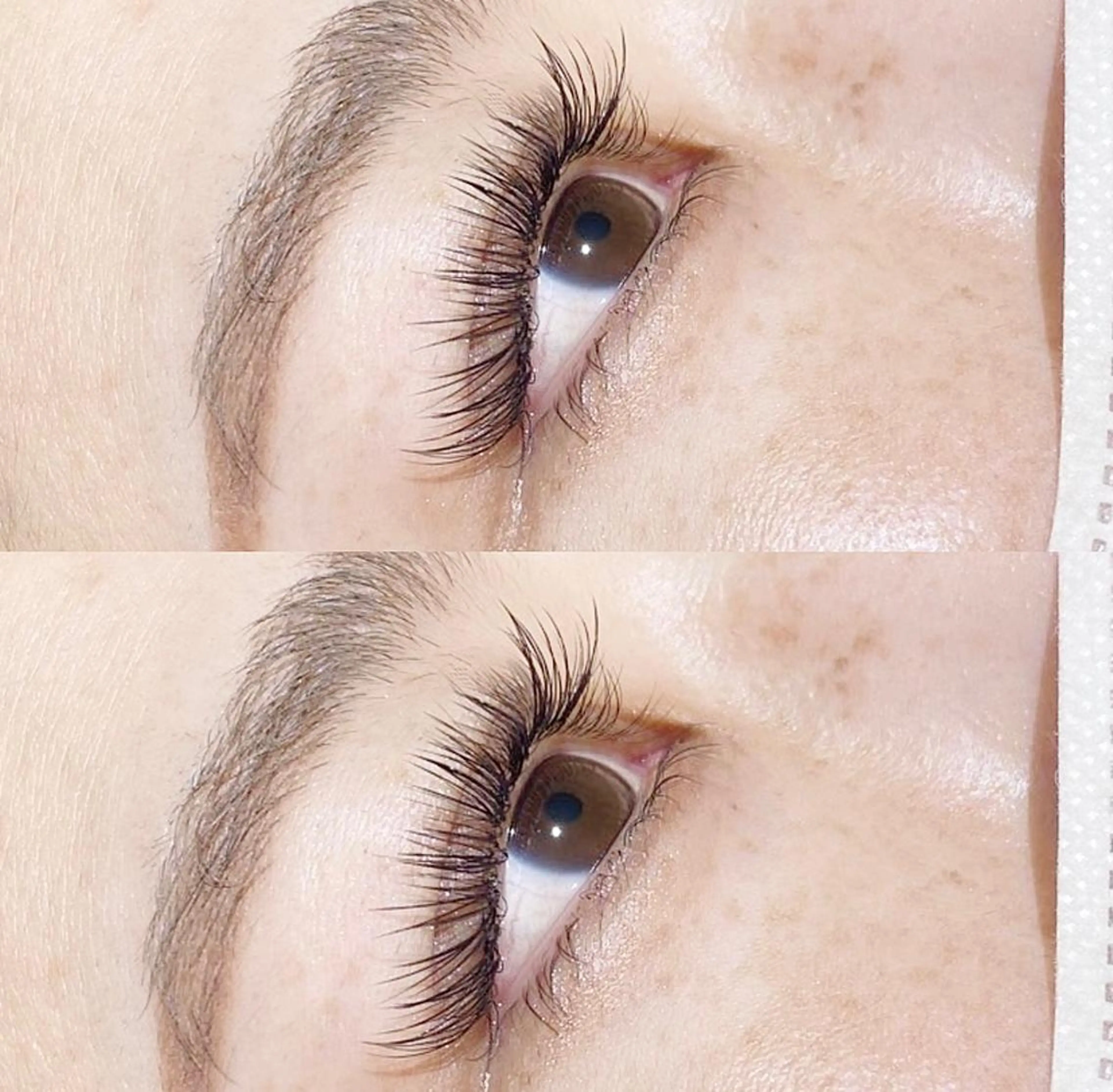 取れにくい独自の技術💡Wフラットラッシュバインドロック120束 《6600円》初回シングルオフ無料⭐️の写真