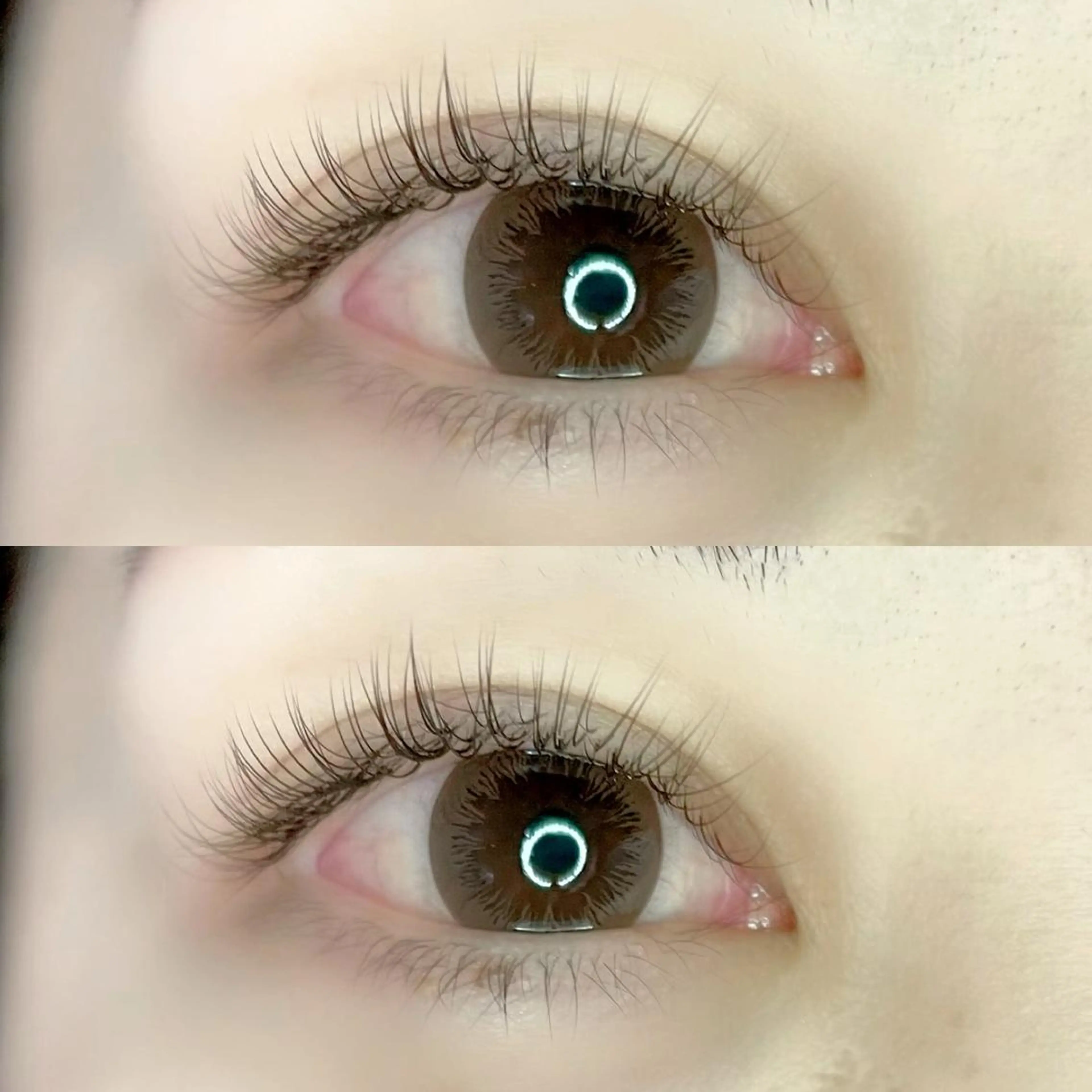 ALLブラウンエクステ付け放題🤎フラットラッシュorセーブル選択ok(ご来店３回目迄利用可能)4回目7000円の写真