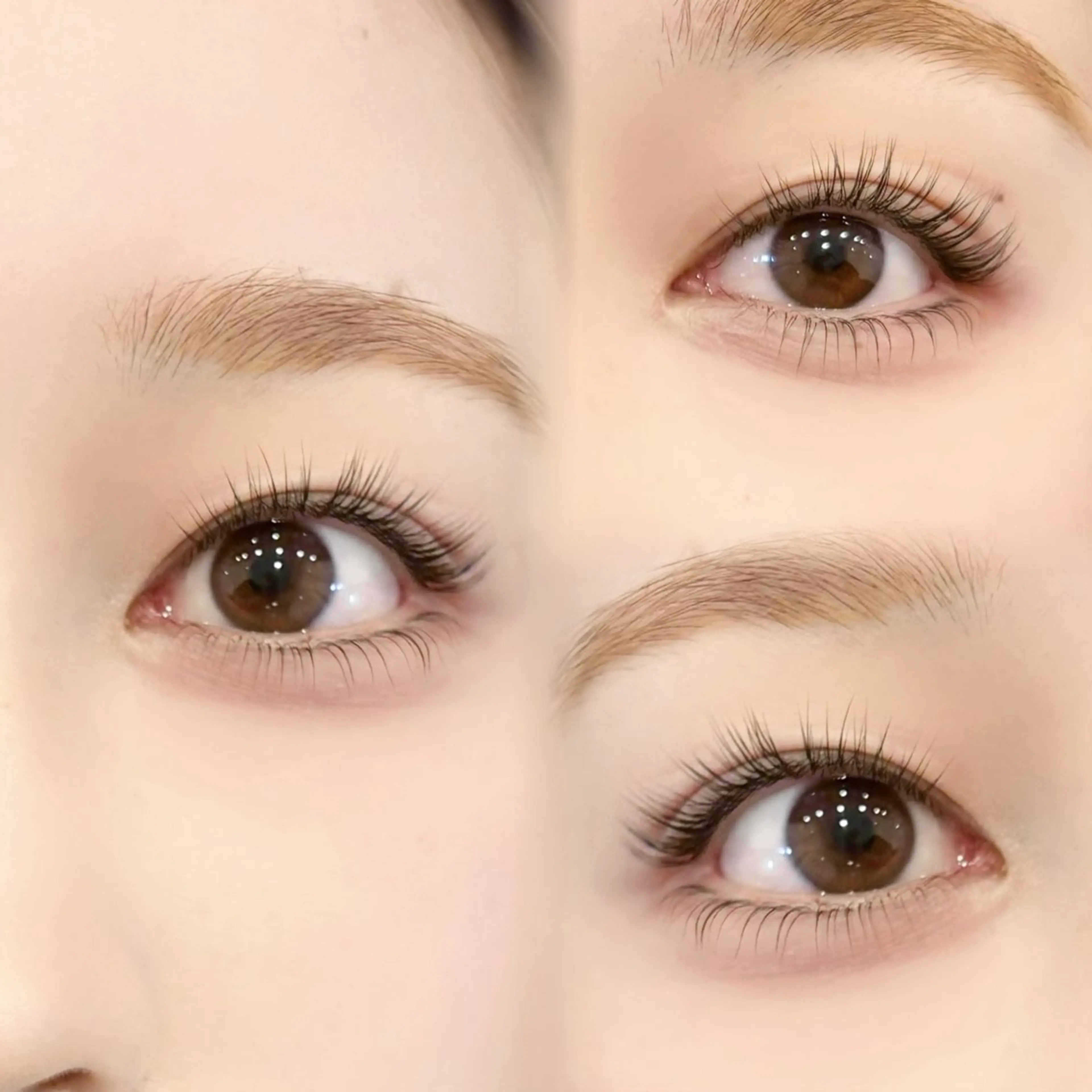 《新規限定》上下まつげパーマモデル✨️の写真