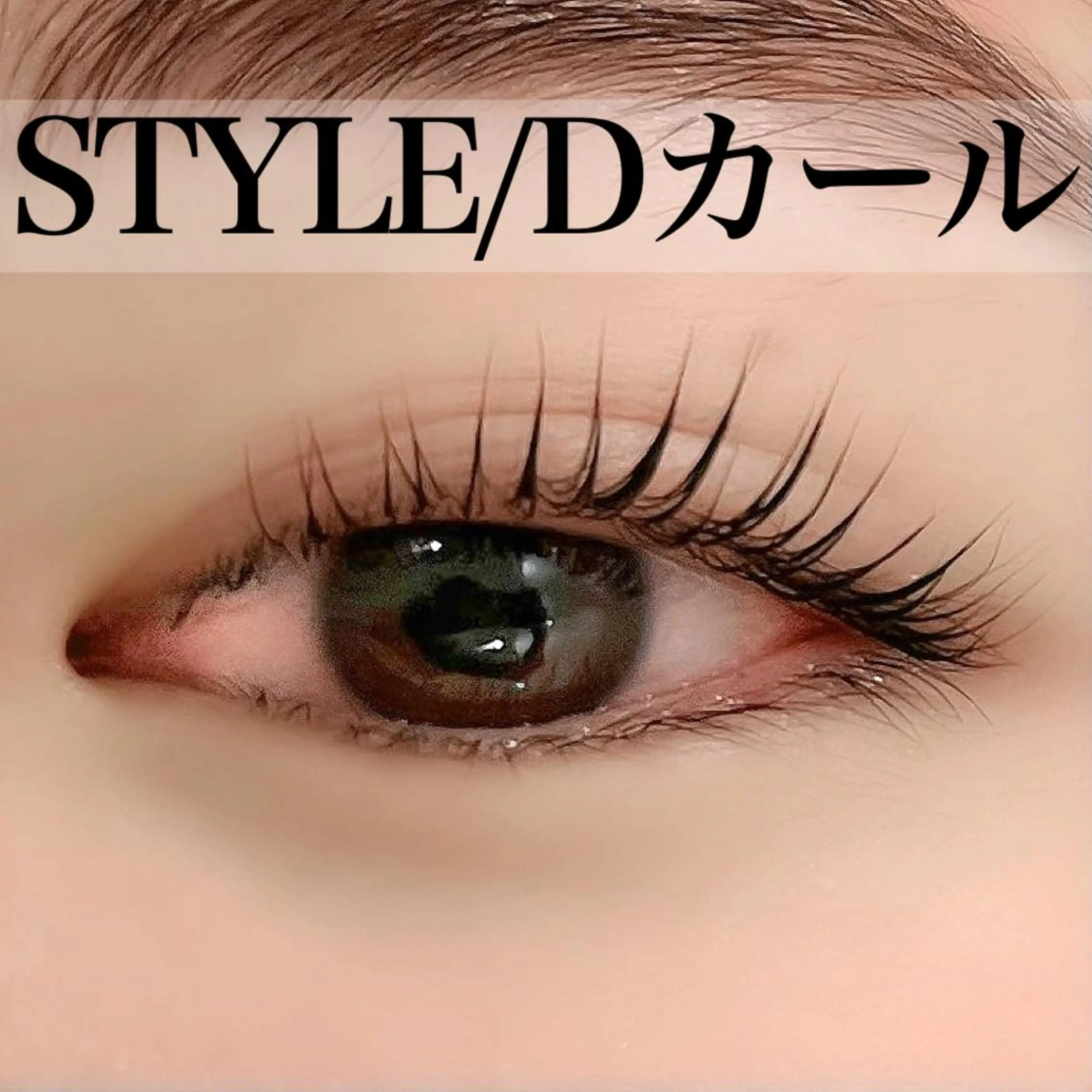 マツエク・マツパ Dカール MASAMI ¨̮の眉毛・アイブロウイメージ