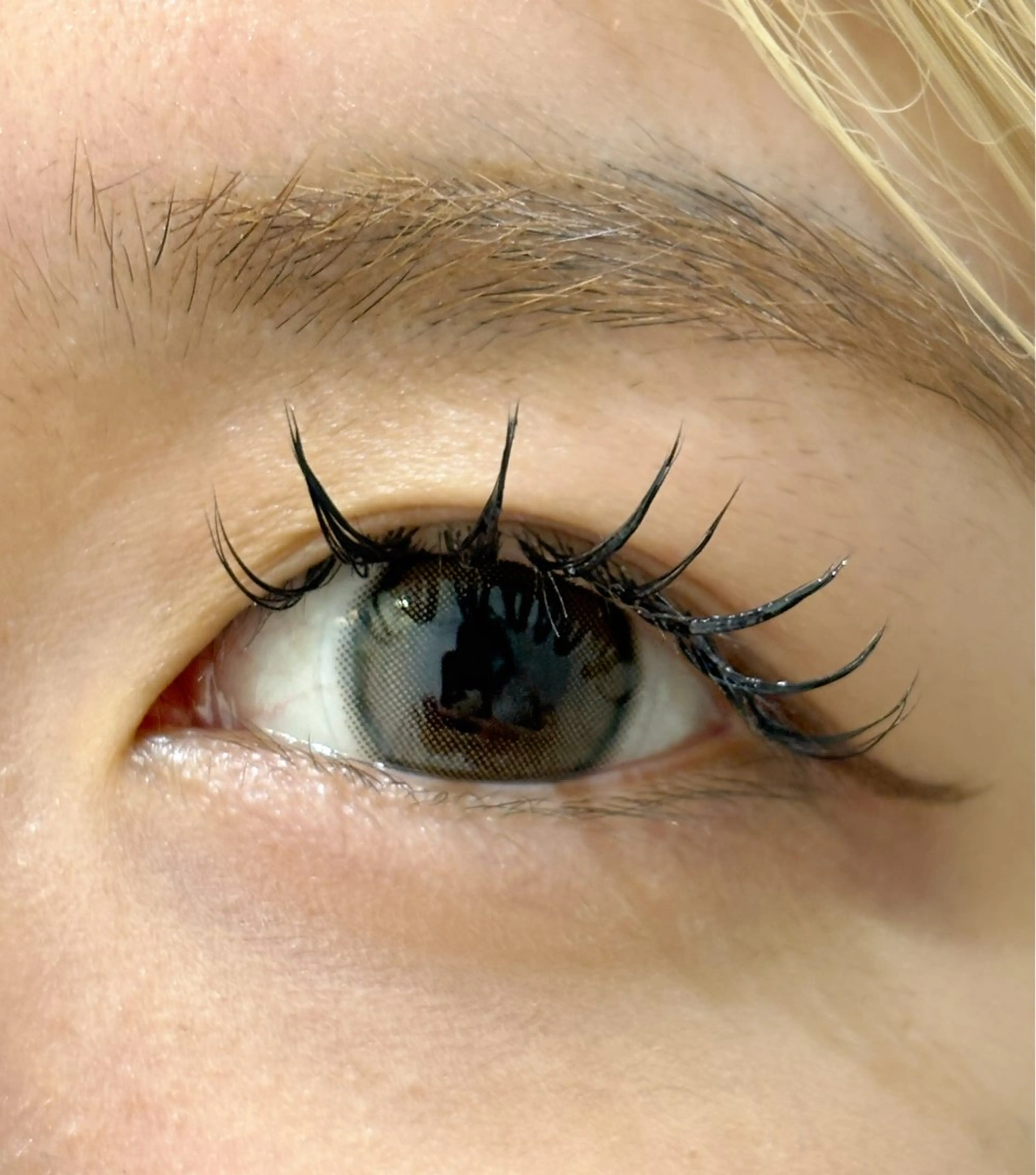 《🩷マツエク🩷》高級ミンク上120本まで付け放題オフ・コーティング付き✨※アイシャンプー込みです。の写真