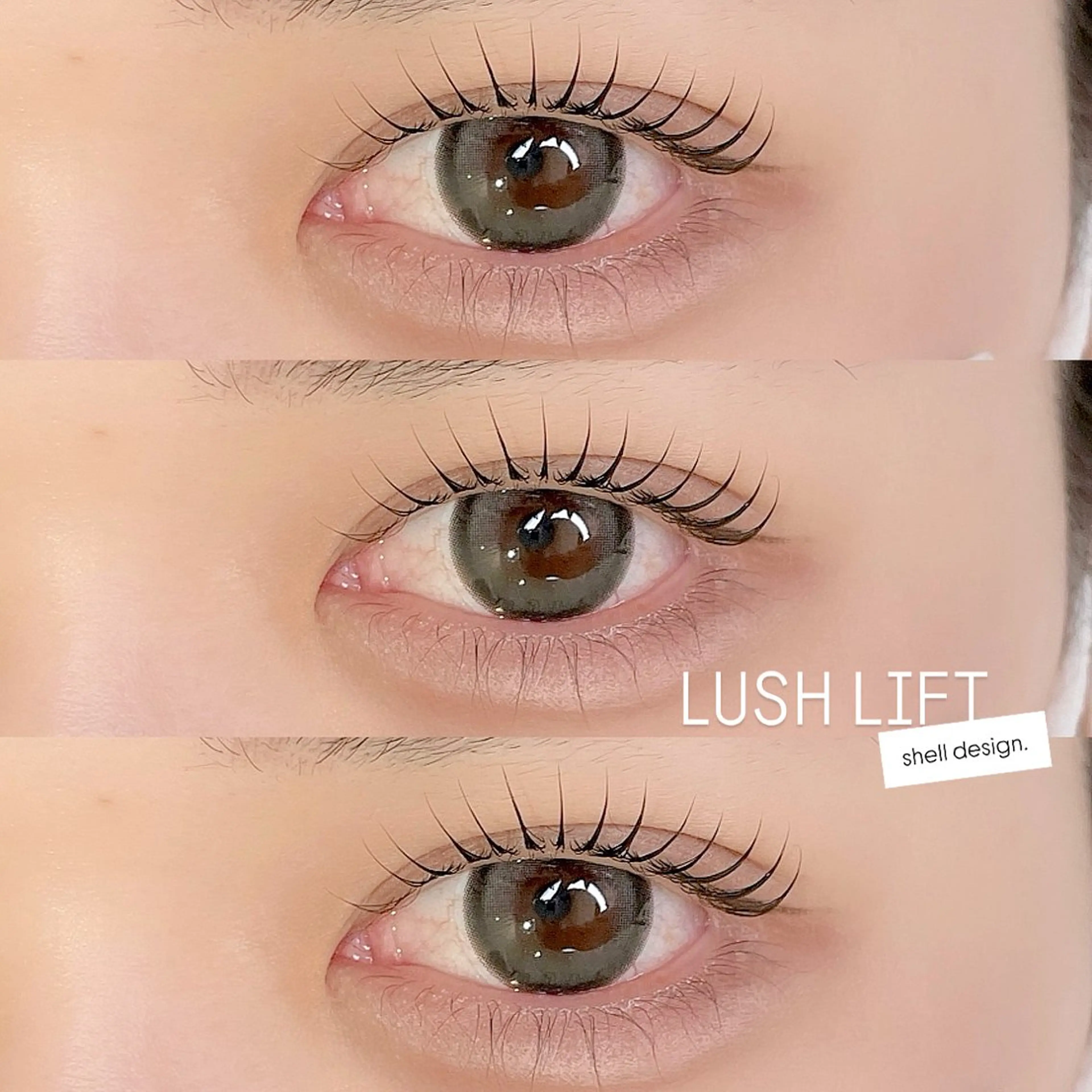 マツエク・マツパ 束感まつ毛 Cカール 韓国風マツエク まつげパーマ マツパ マツパ/マツエク/ haruna🩰のマツエク・マツパデザイン