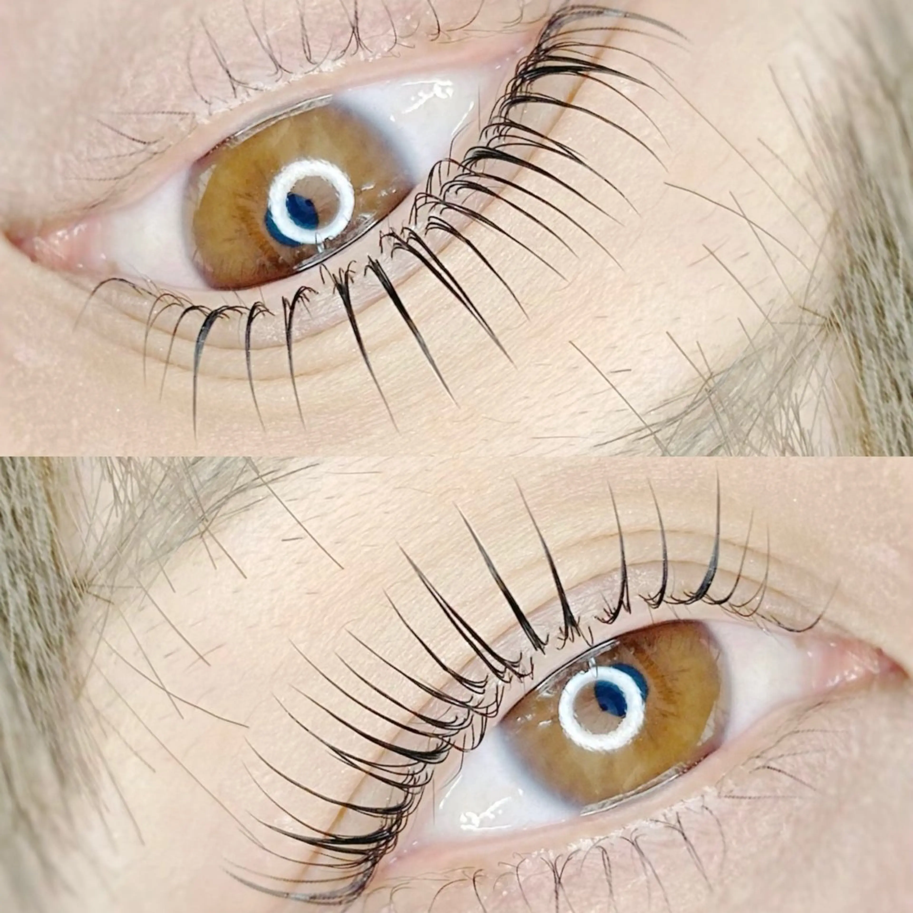 マツエク・マツパ パリジェンヌラッシュリフト Lito by Lupie所属・Lito by Lupieのマツエク・マツパデザイン