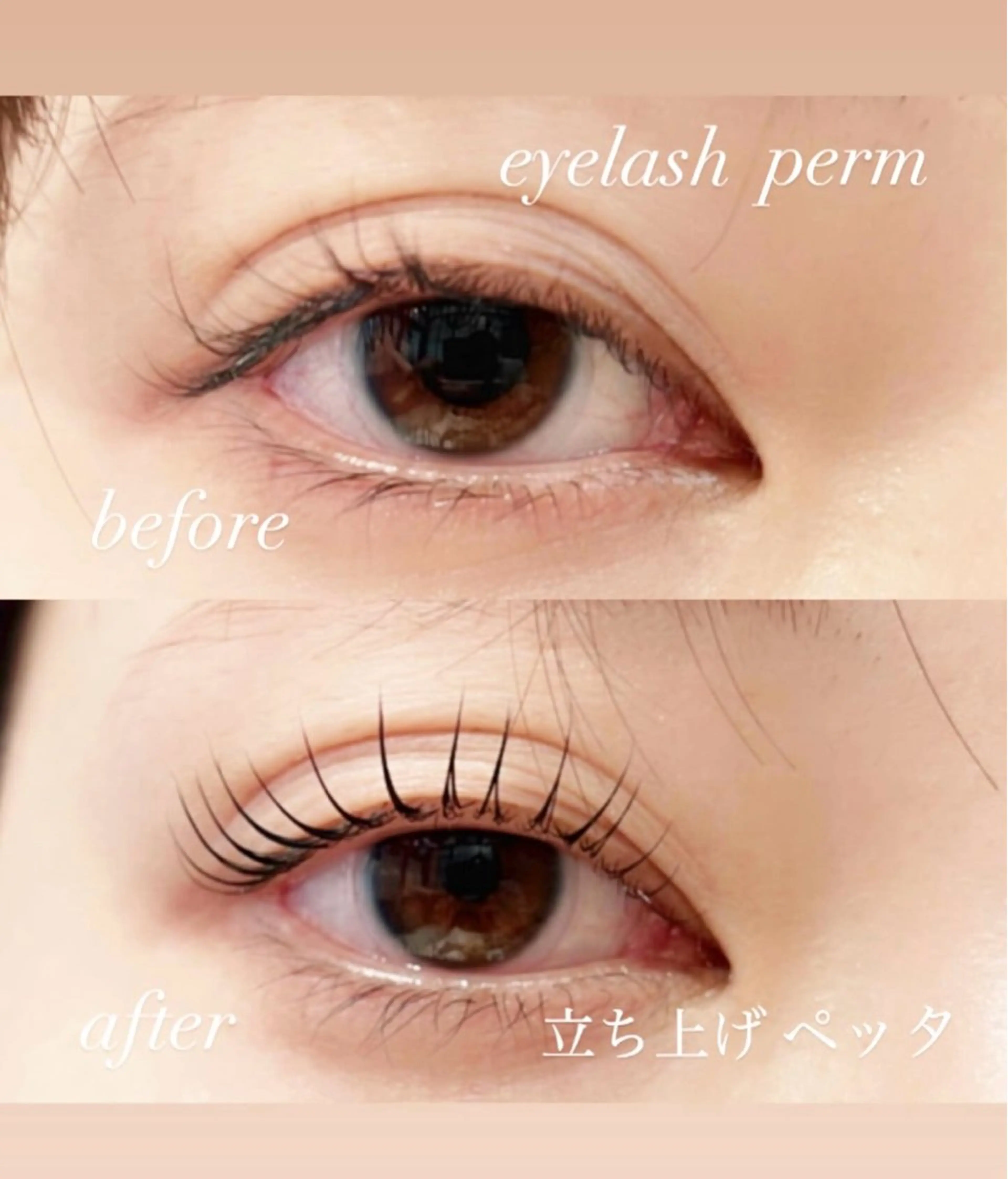 【平日限定】🌈⭐️ケアコース付き⭐️次世代まつ毛パーマ🌈の写真
