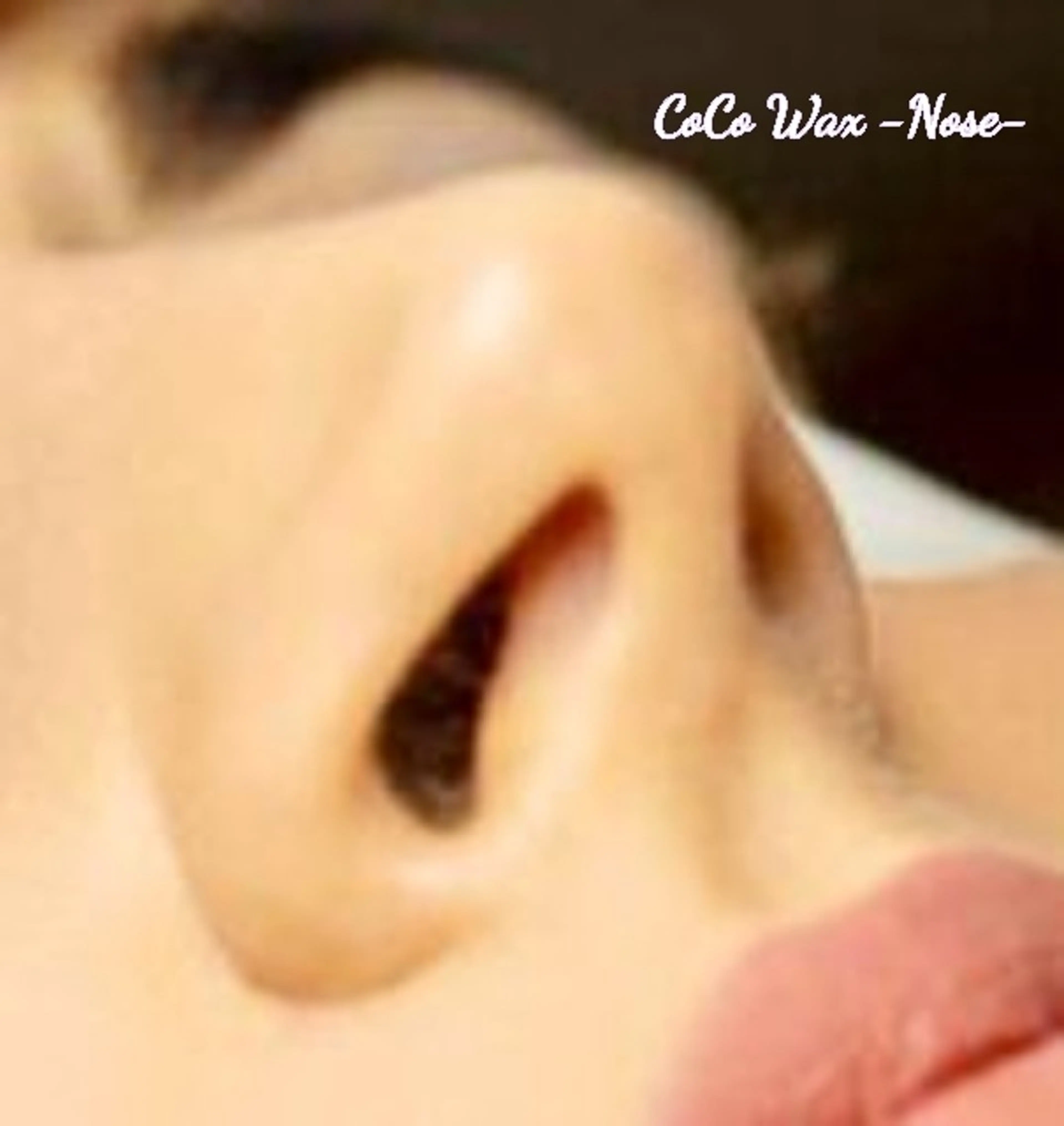 Coco Sheep のその他イメージ