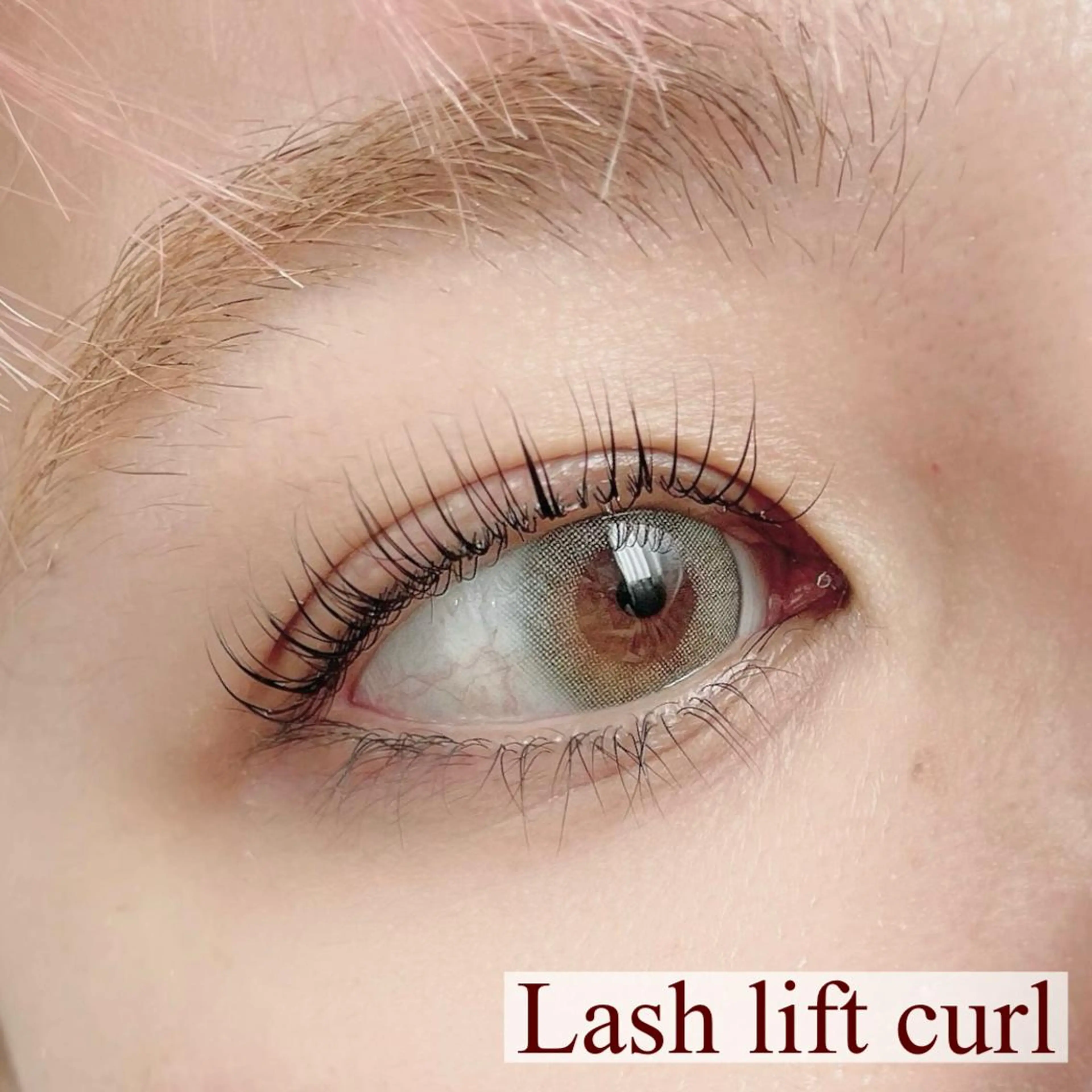 マツエク・マツパ ベルアイラッシュ所属・eyelash. manaの眉毛・アイブロウイメージ