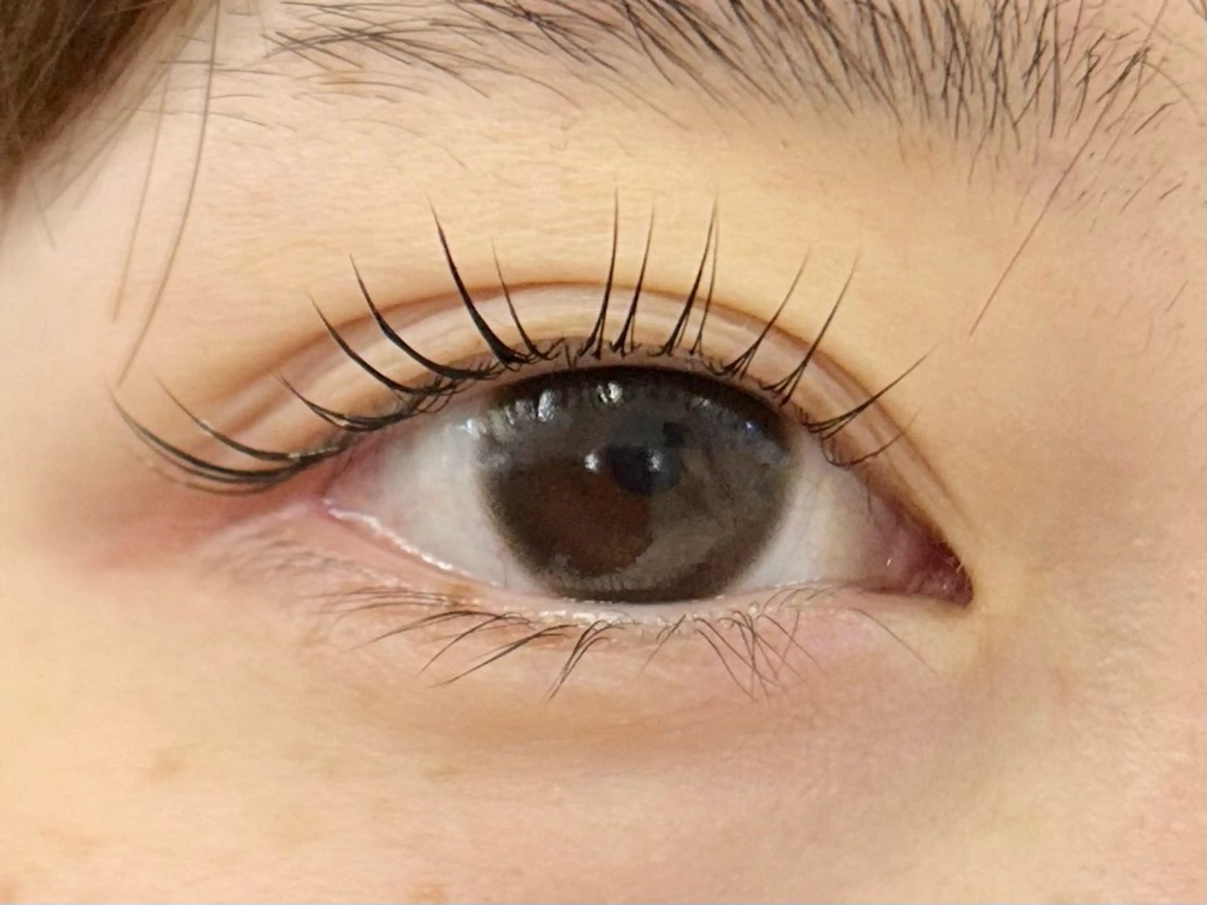 マツエク・マツパ マツパ Miroir Sunadaのマツエク・マツパデザイン