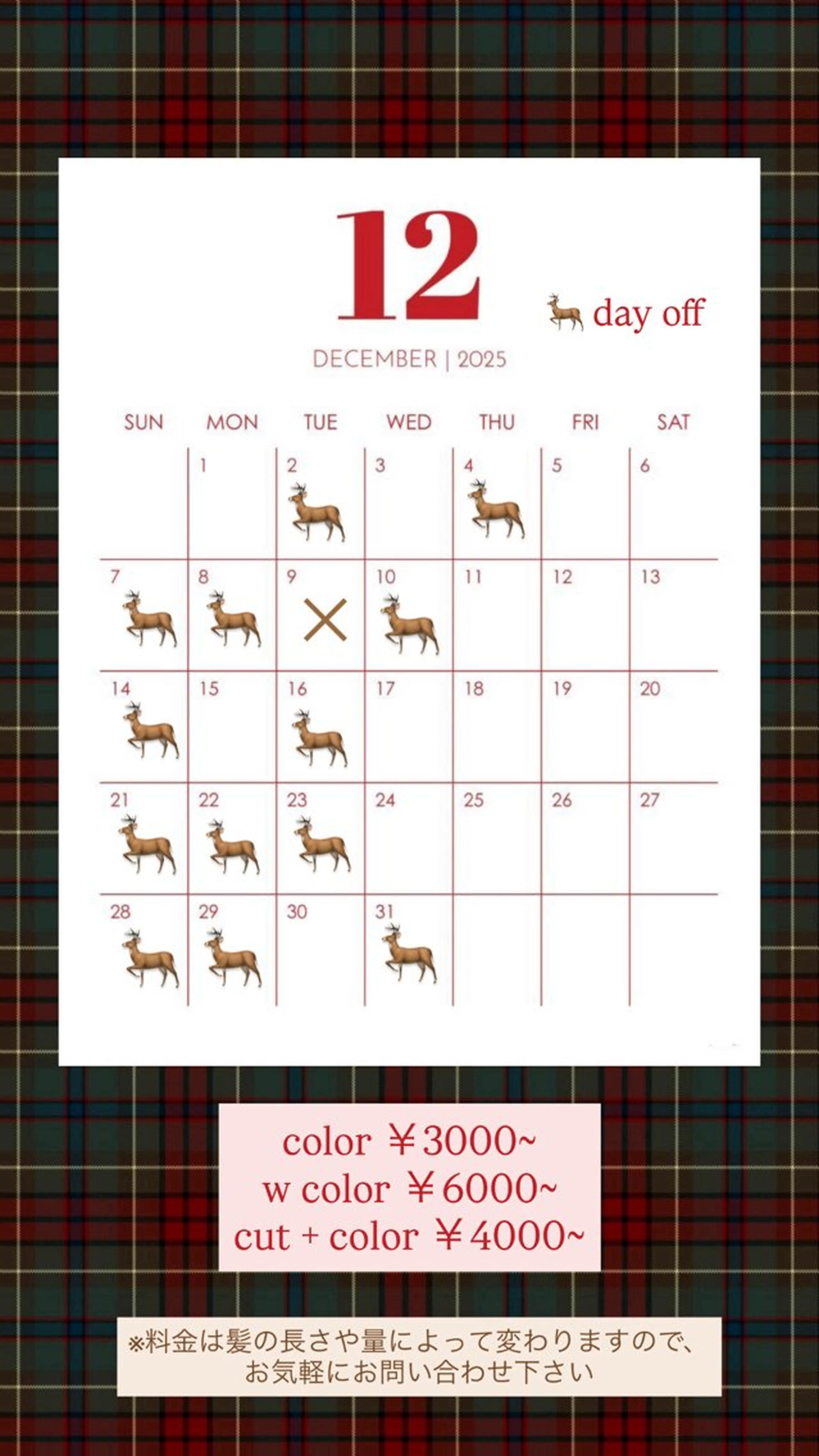 セミロング クリスマス KIZUKI KIRARAのヘアスタイル