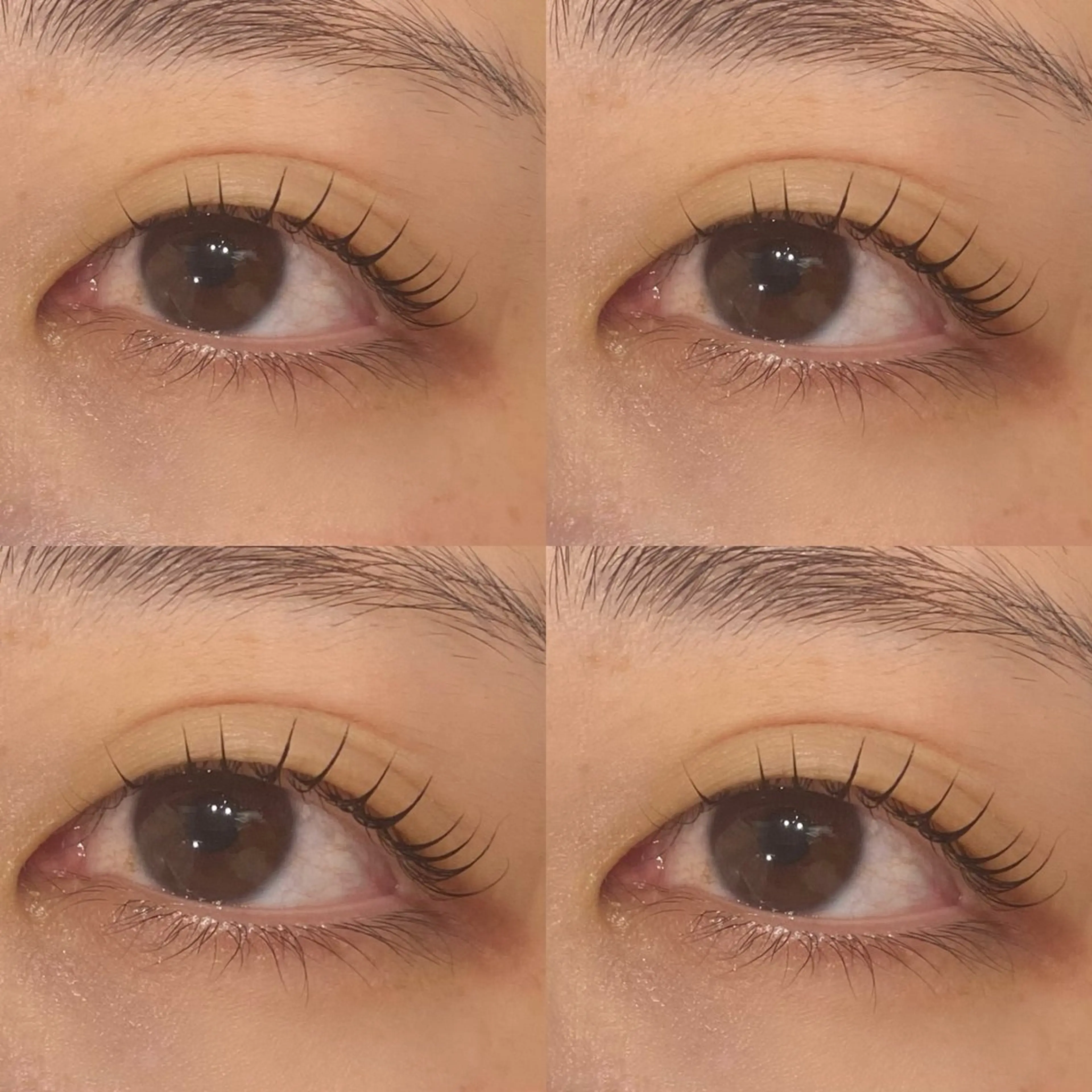 マツエク・マツパ 一重×まつ毛パーマ 西島 雪輝のマツエク・マツパデザイン