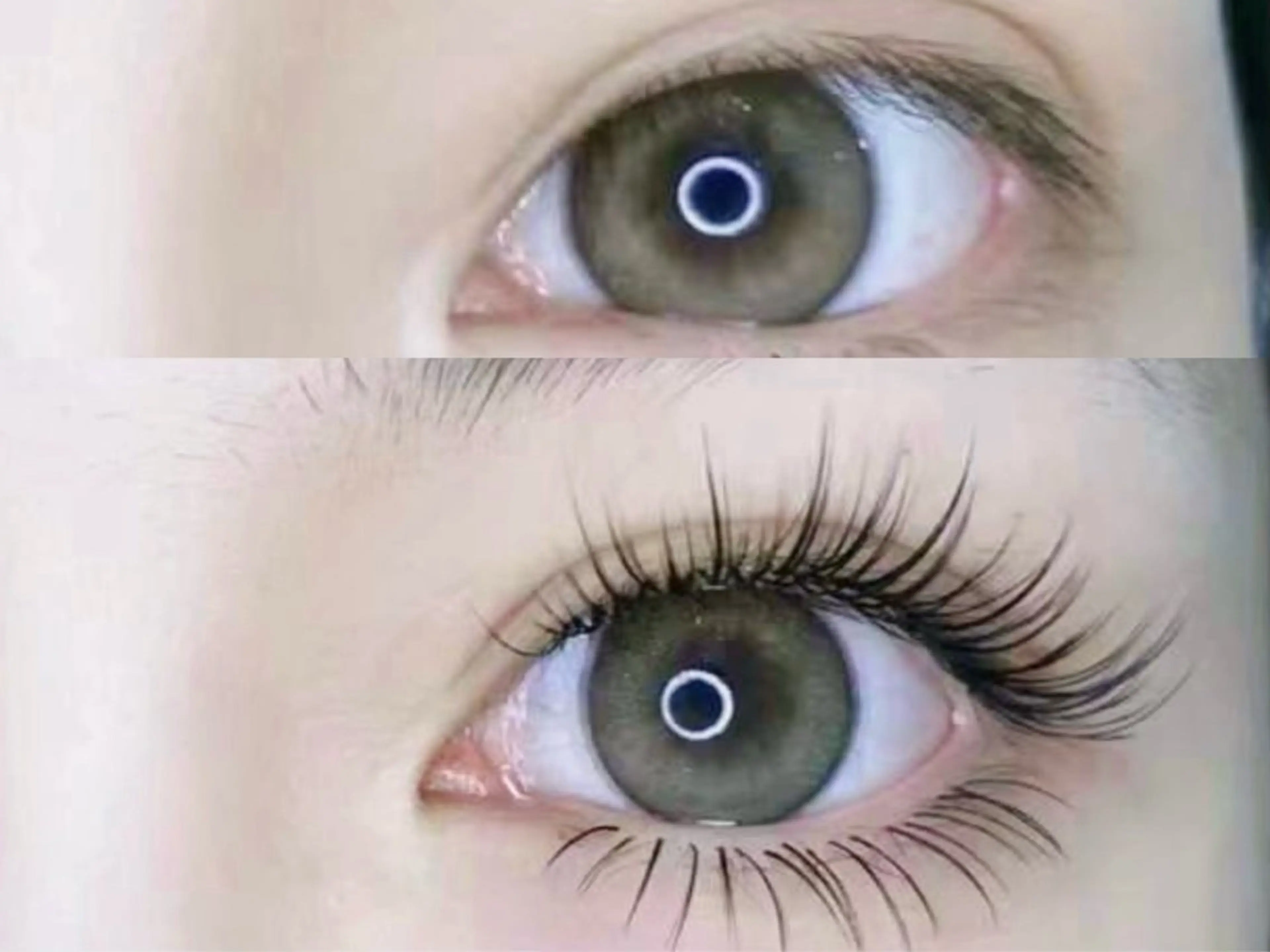 マツエク・マツパ 付け放題 バインドロック 束感まつ毛 カラーマツエク フラットラッシュ Ｍ salon アイラッシュのマツエク・マツパデザイン