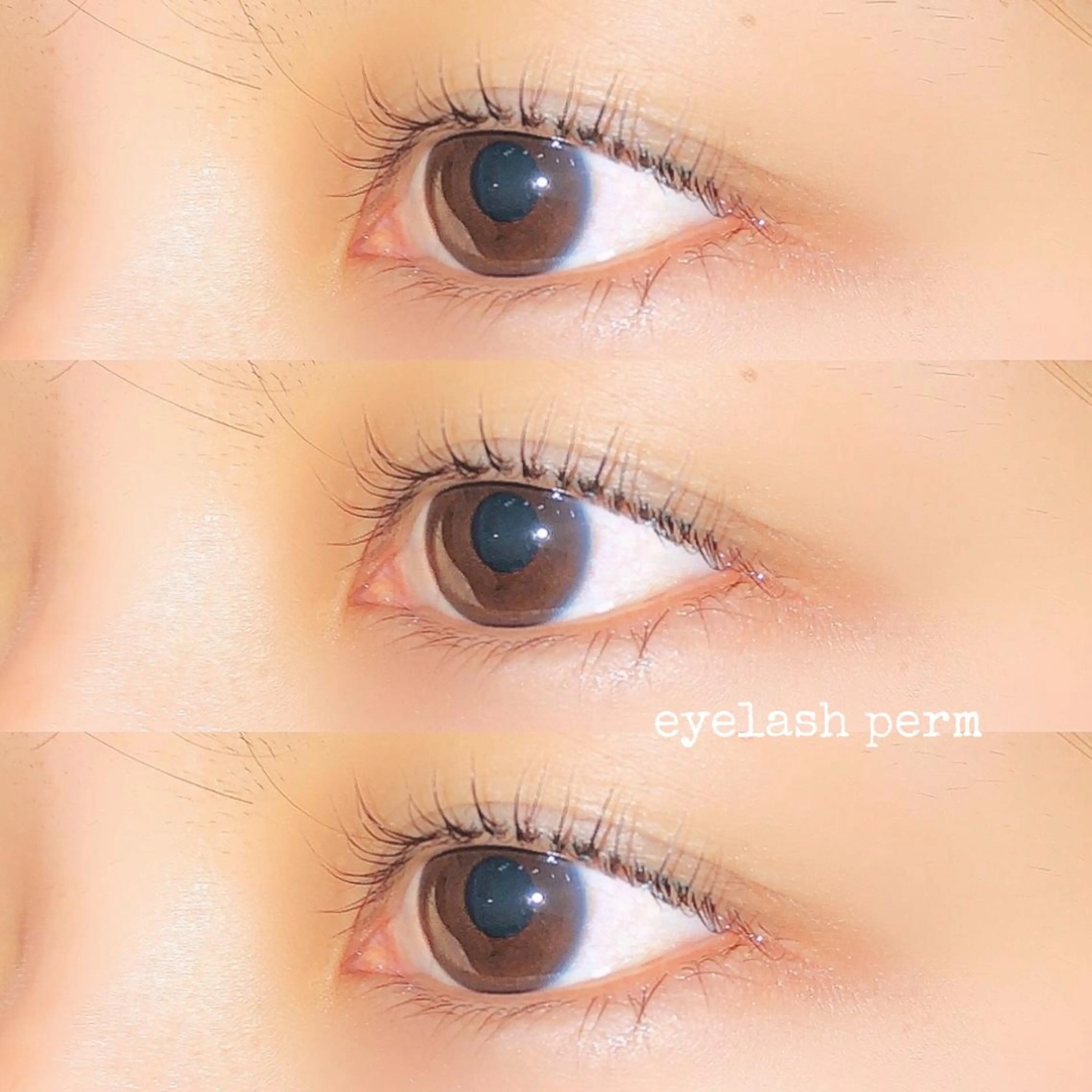 マツエク・マツパ LUCIA所属・小湊理央 🐣LUCIA🐣のその他イメージ