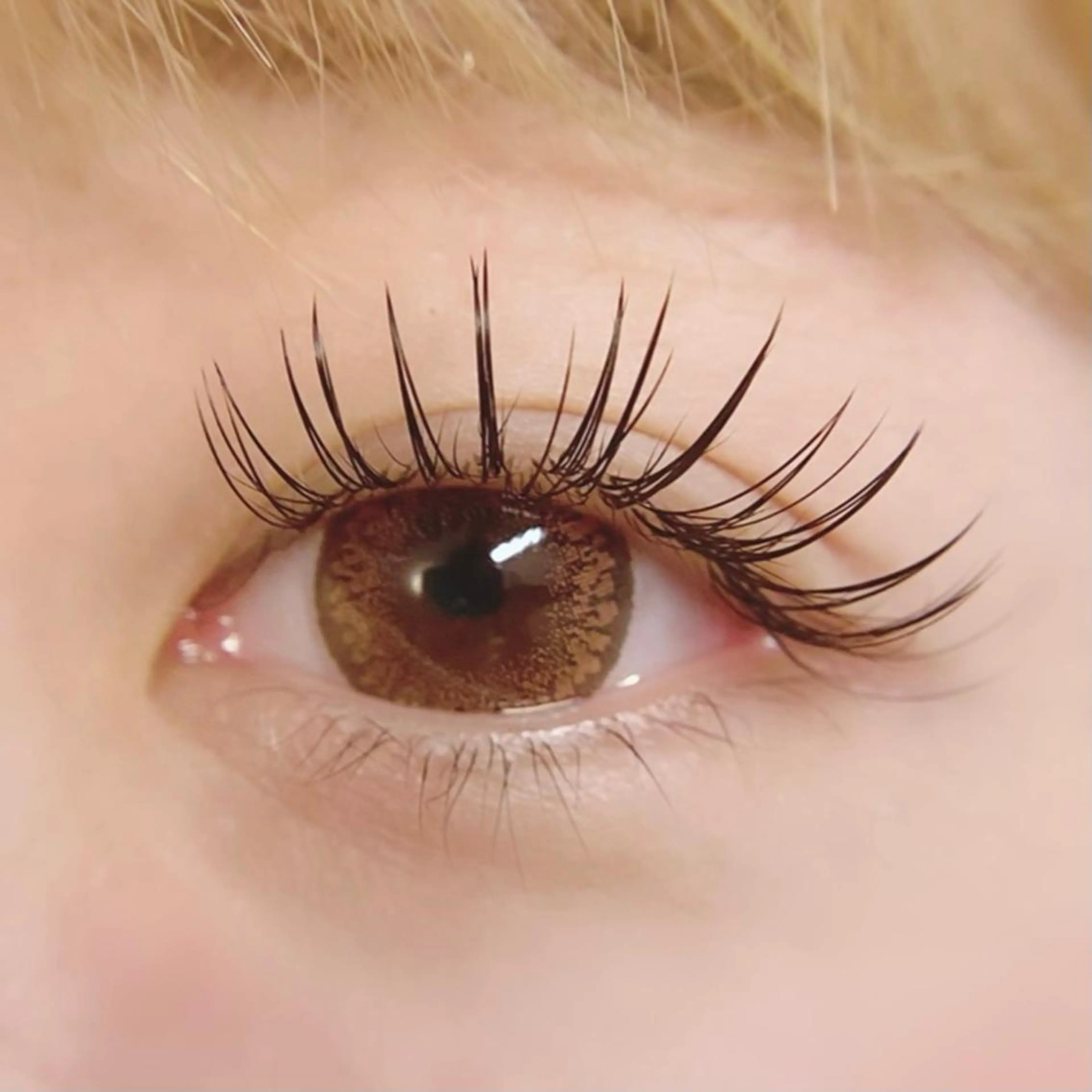 マツエク・マツパ マツエク Mau beauty salon所属・Mau (マウ)のエステ・リラクイメージ