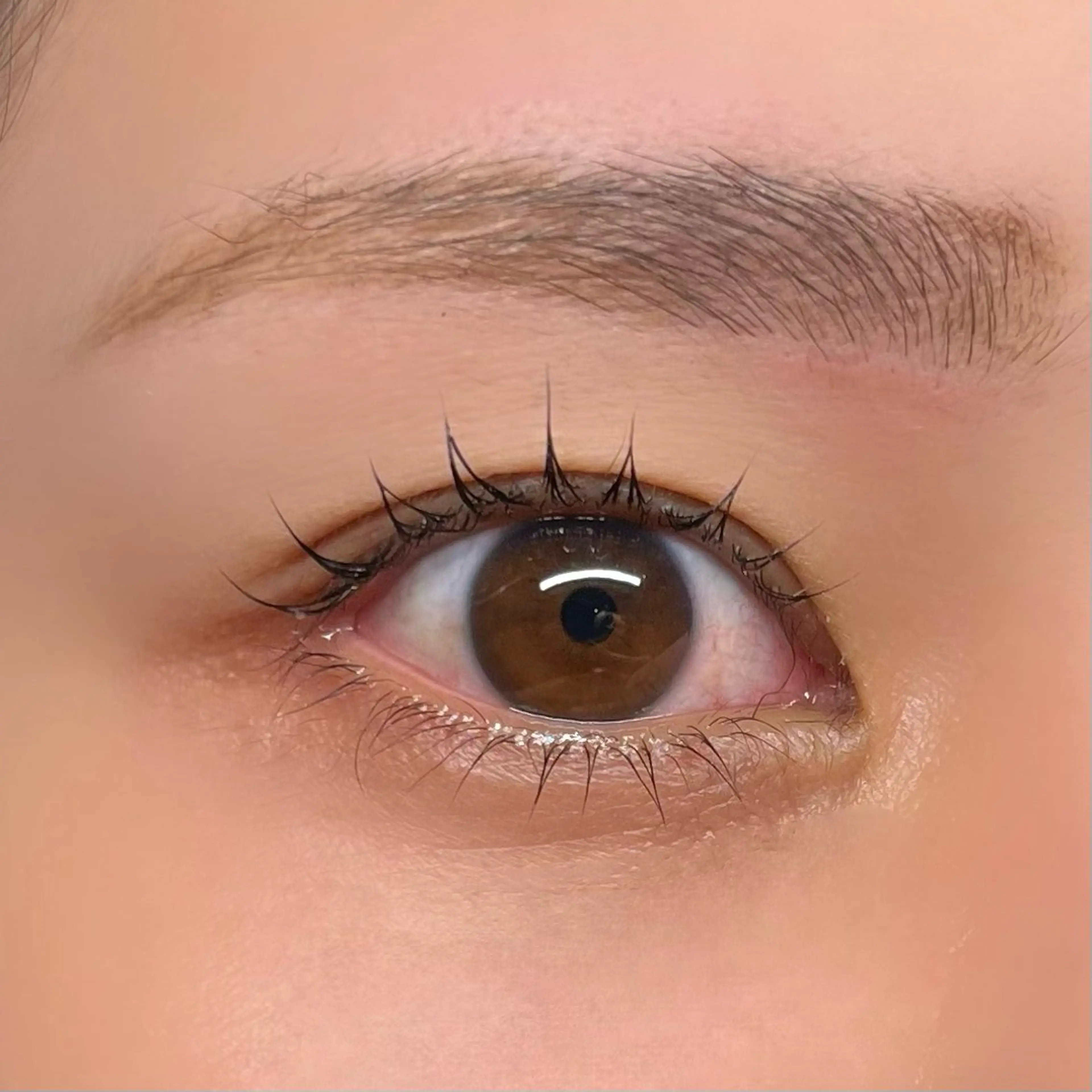 《人気No.1》似合わせまつ毛パーマ🫧一重さんおすすめ！目の形や毛質に合わせたオーダーメイド施術◎の写真