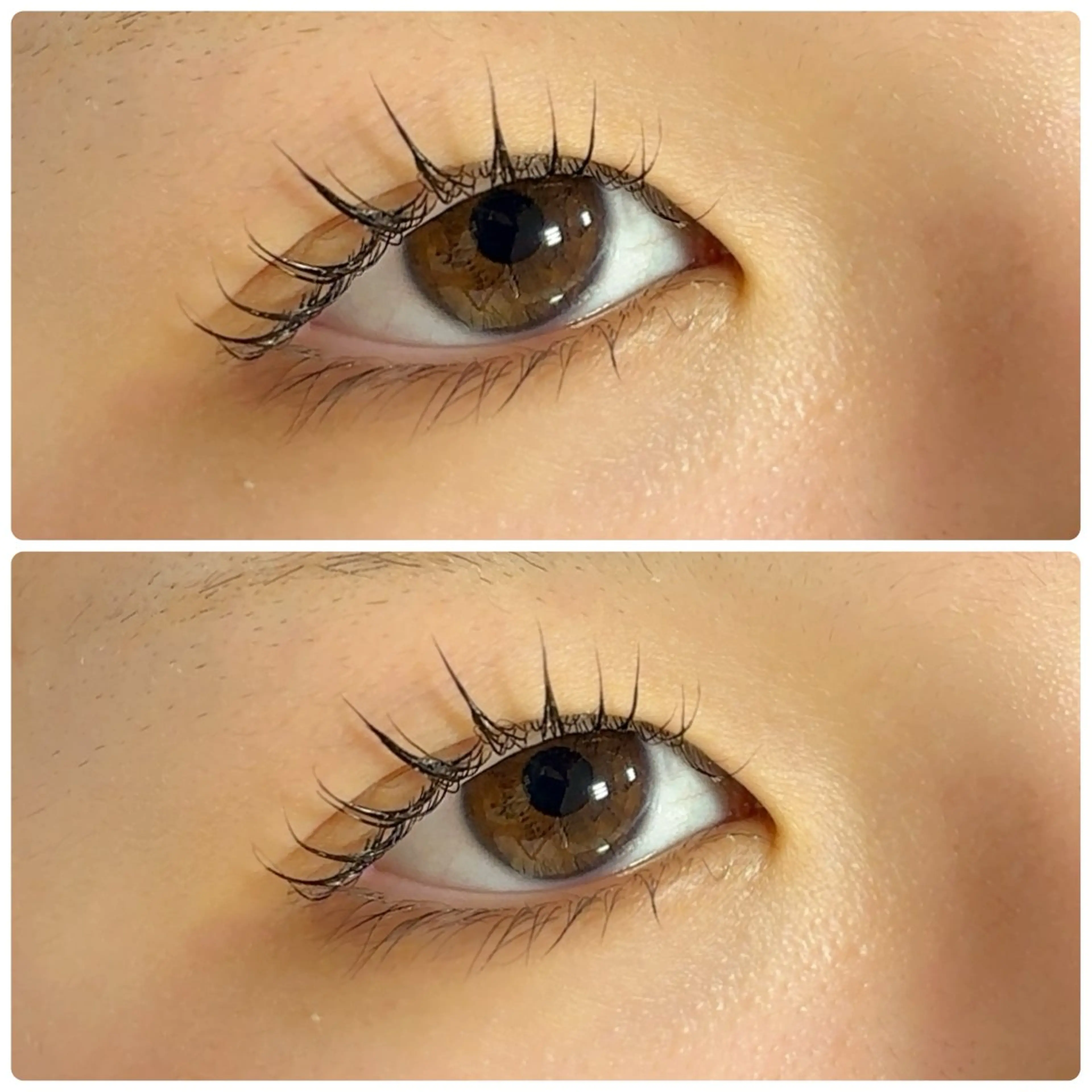 成人式1/11 まで 限定価格 まつげパーマ🎍の写真