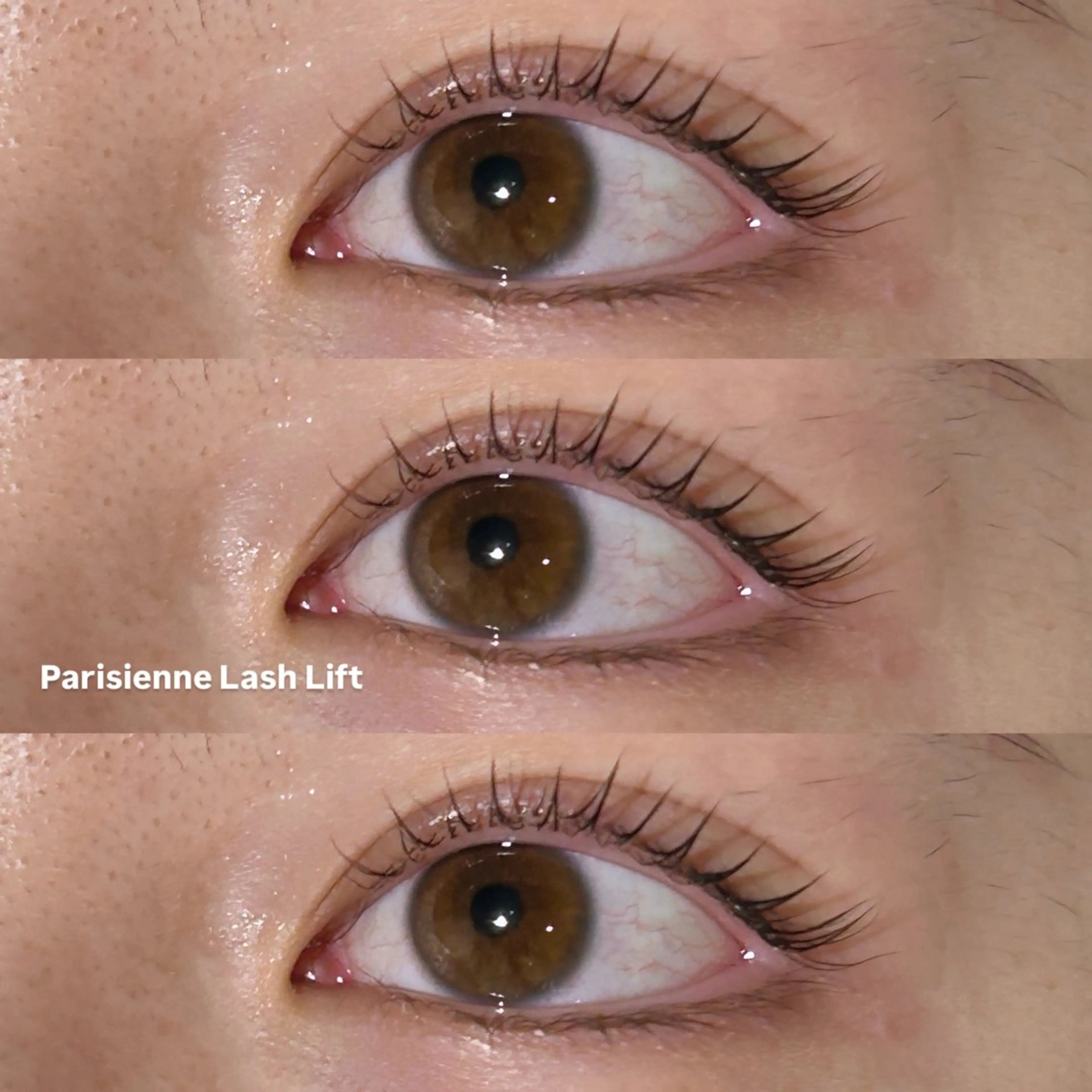 マツエク・マツパ マツパ 冬っぽカラー/ マツエク/ゆきなのマツエク・マツパデザイン