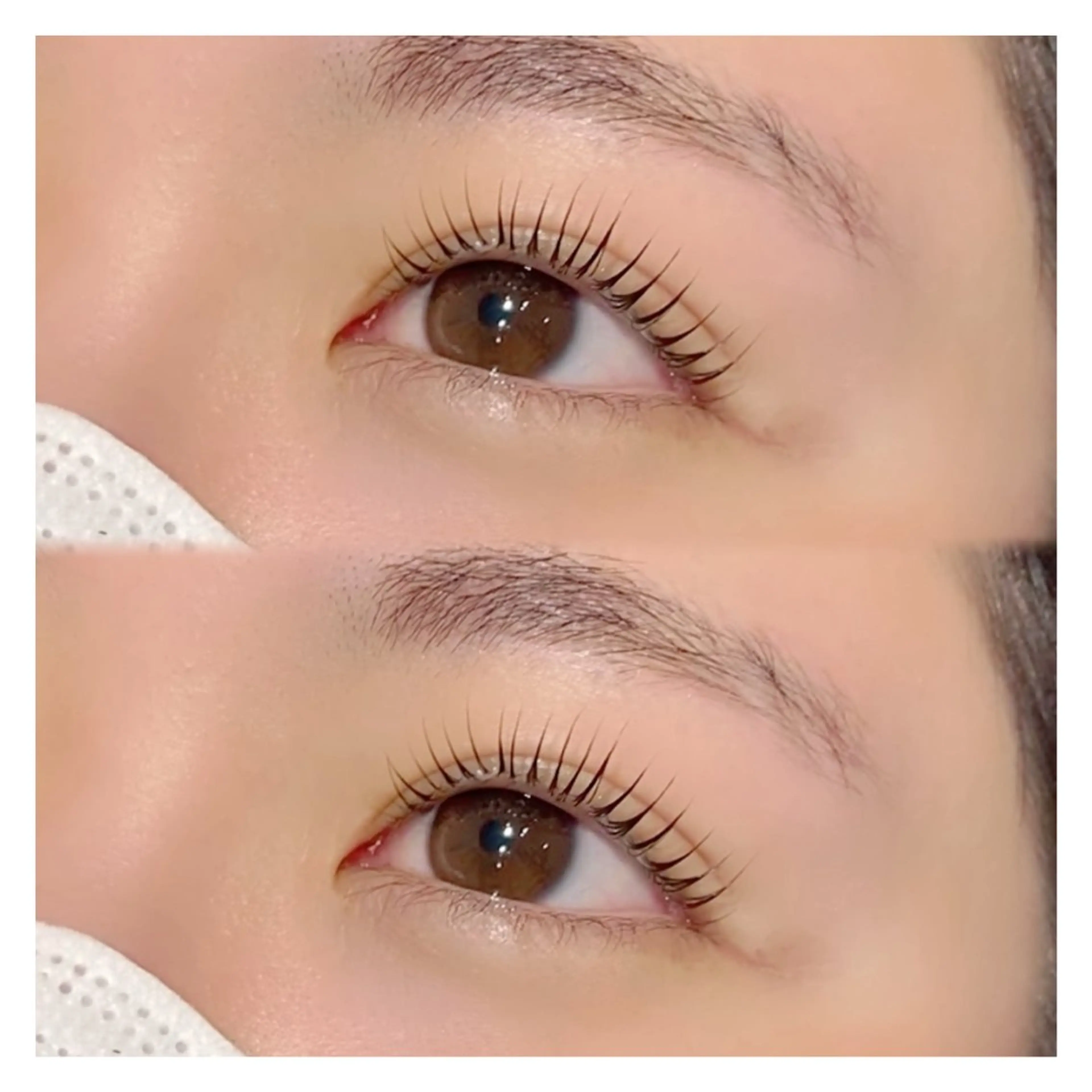 マツエク・マツパ パリジェンヌラッシュリフト EARTH ‎𖤐 シライシのマツエク・マツパデザイン