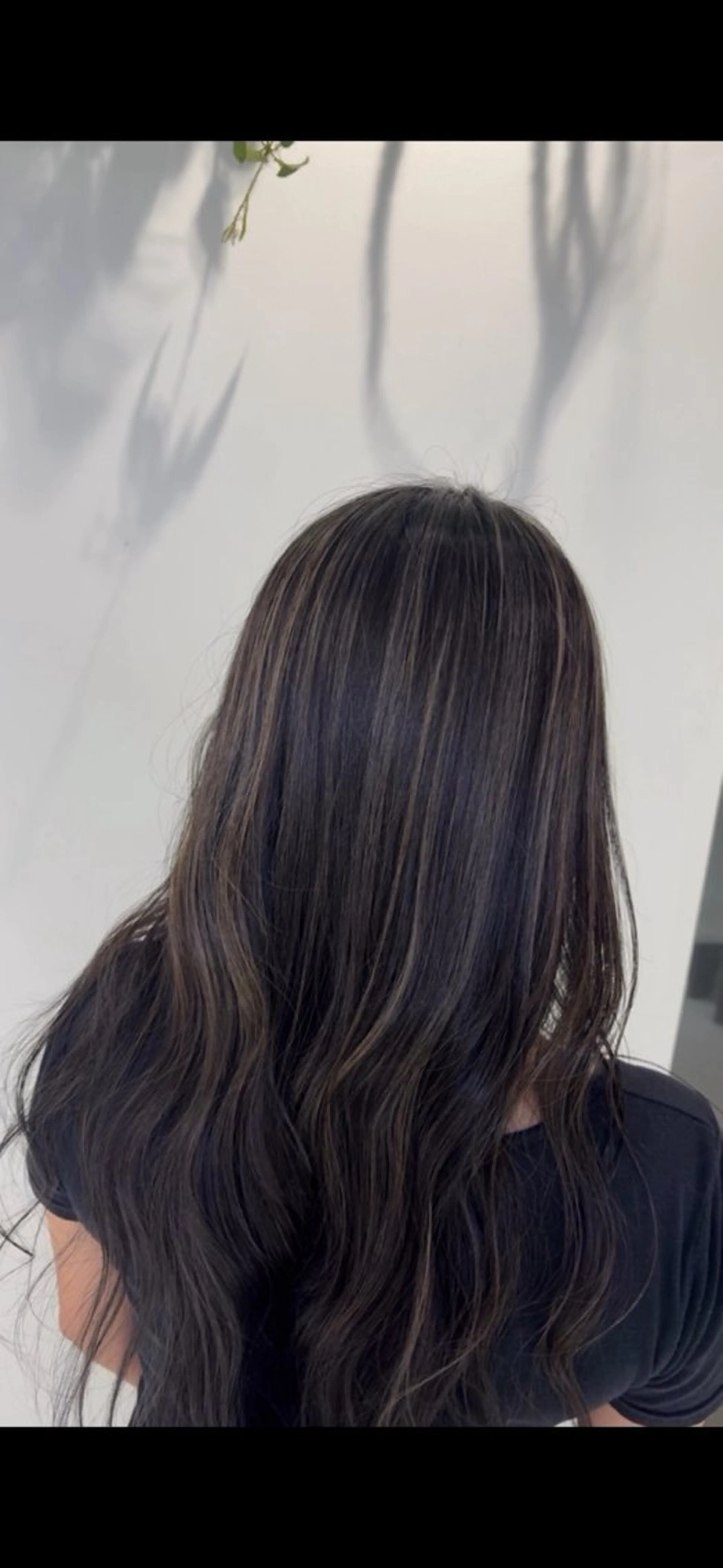 カラー 豆田 祐人のヘアスタイル