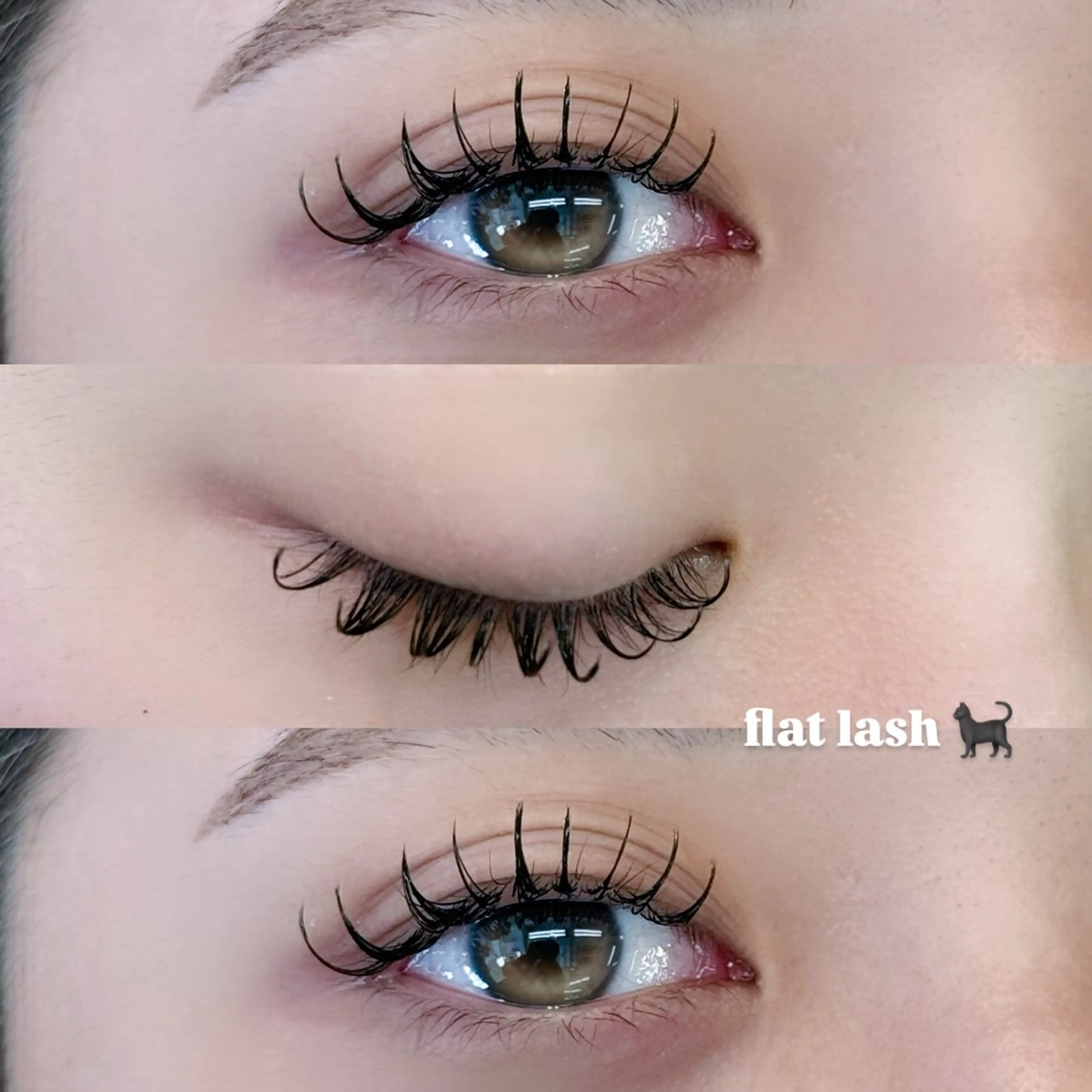 【最軽量🪄】フラットラッシュ140本 ♡の写真