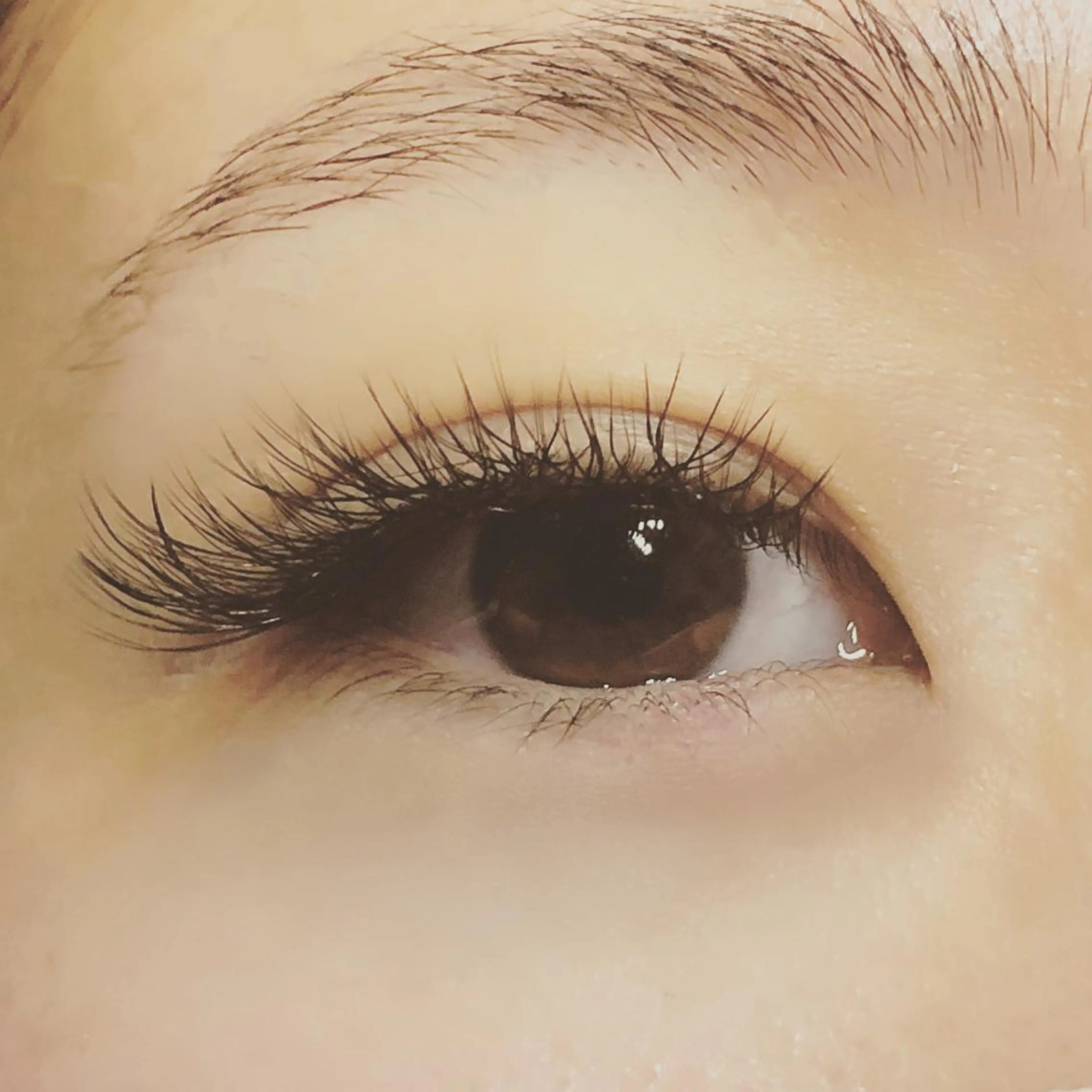 ✨新感覚✨クジャクラッシュ(YYlash) 100本[前処理込み・オフあり]の写真