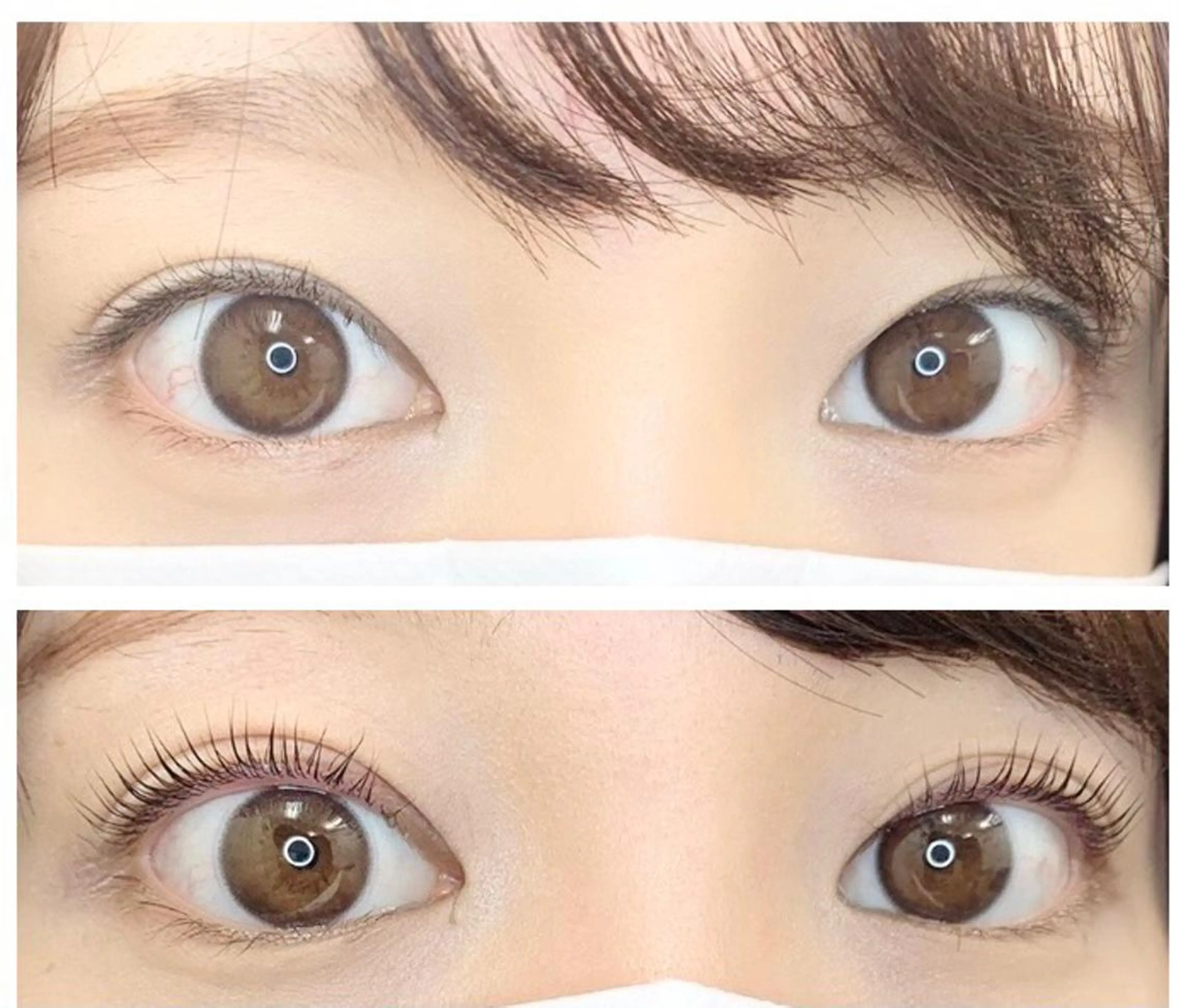 パリジェンヌラッシュリフト🌿コーティング付き🌸の写真