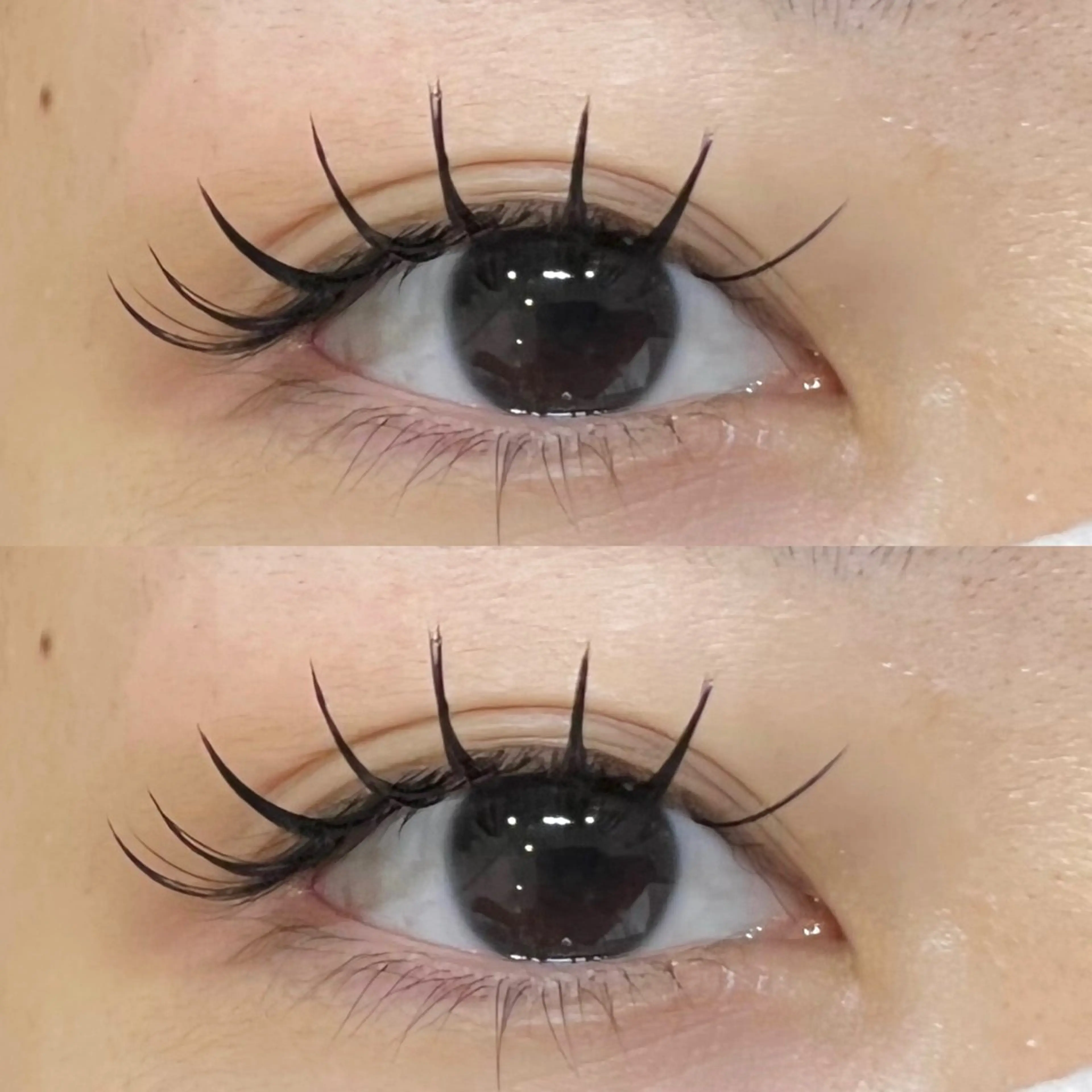 Wフラットラッシュ80束の写真