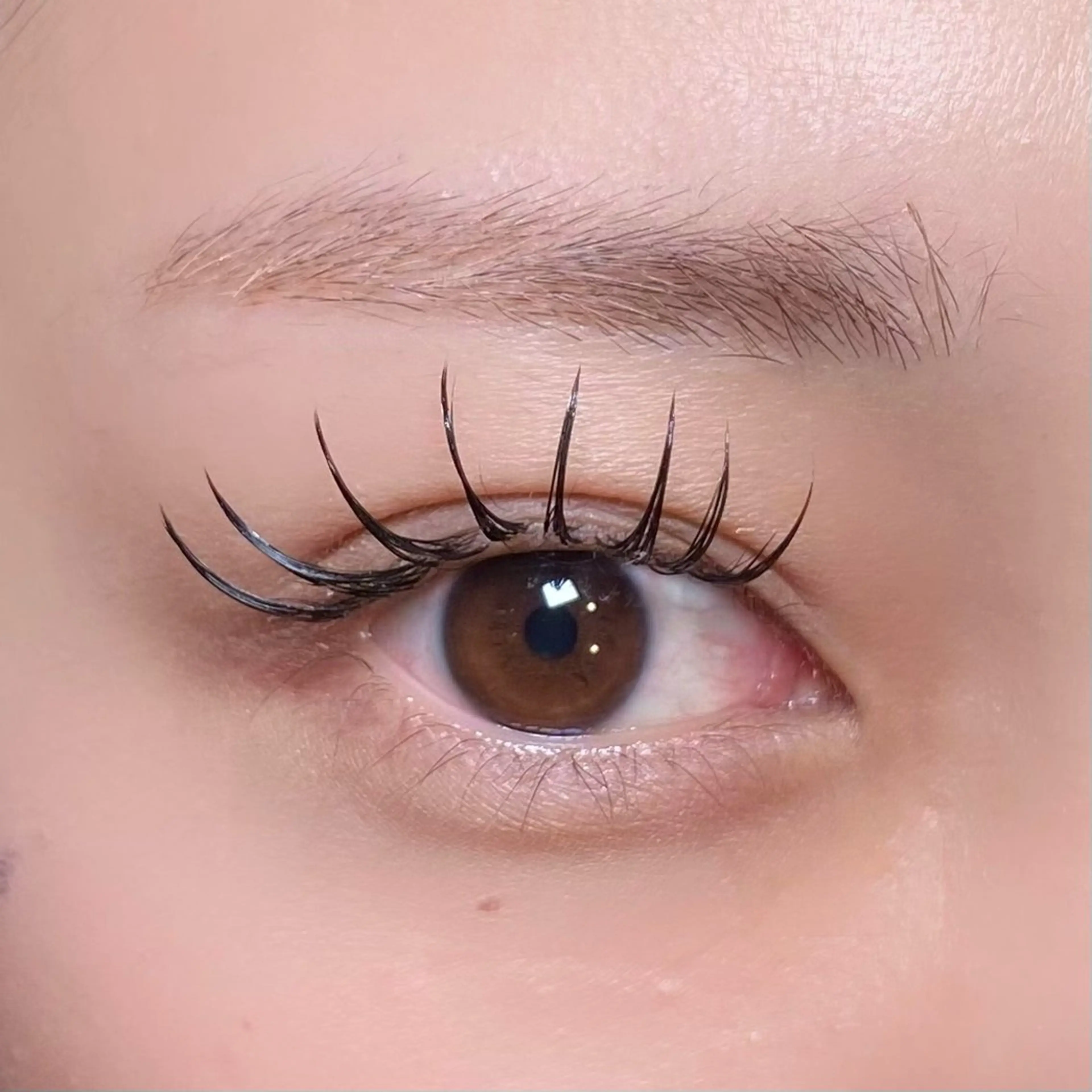 【🎄期間限定🎄】束感マツエク  100本 🍒オフ&コーティング付の写真