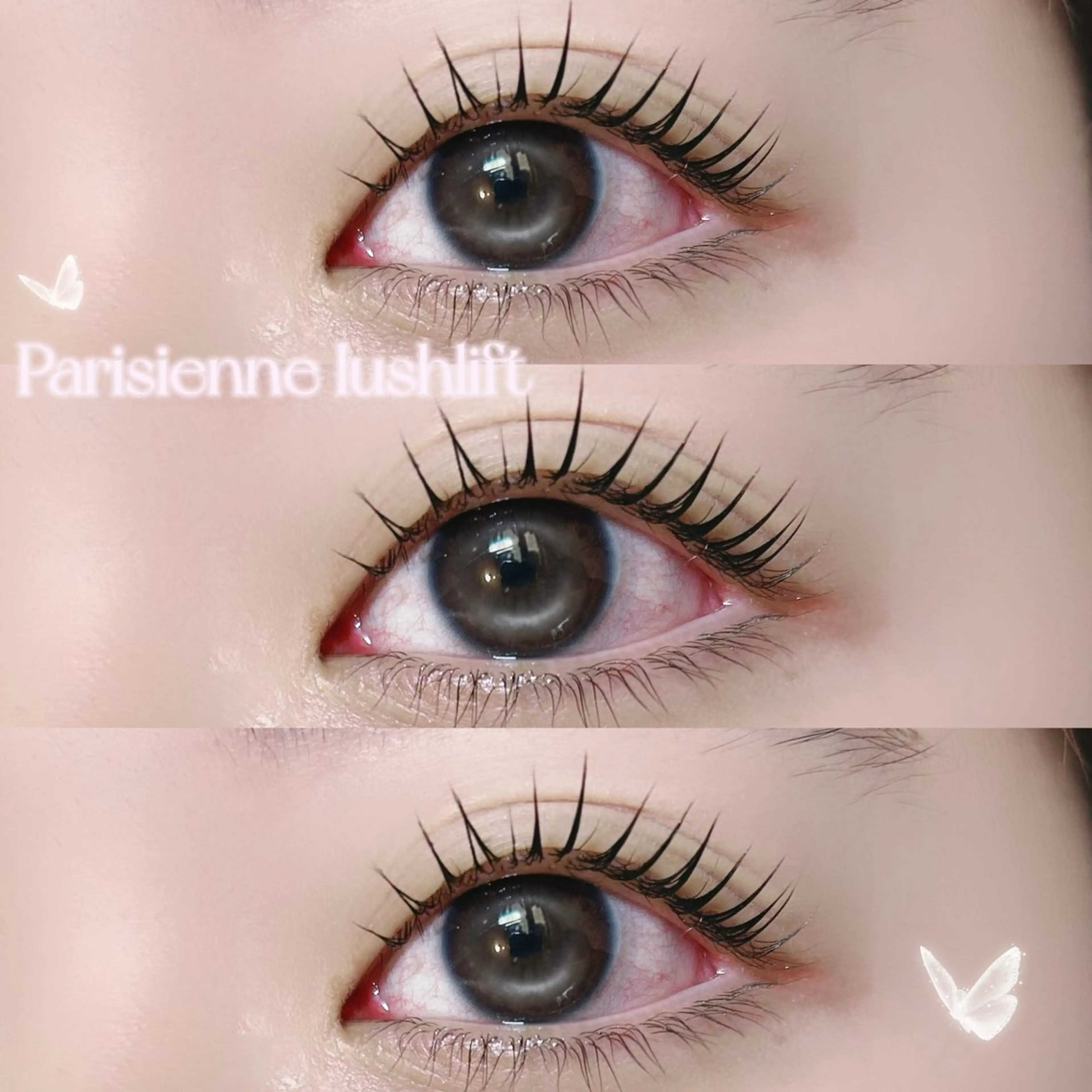 パリジェンヌラッシュリフト(TR.仕上げのコーティング付き✨)🎀の写真