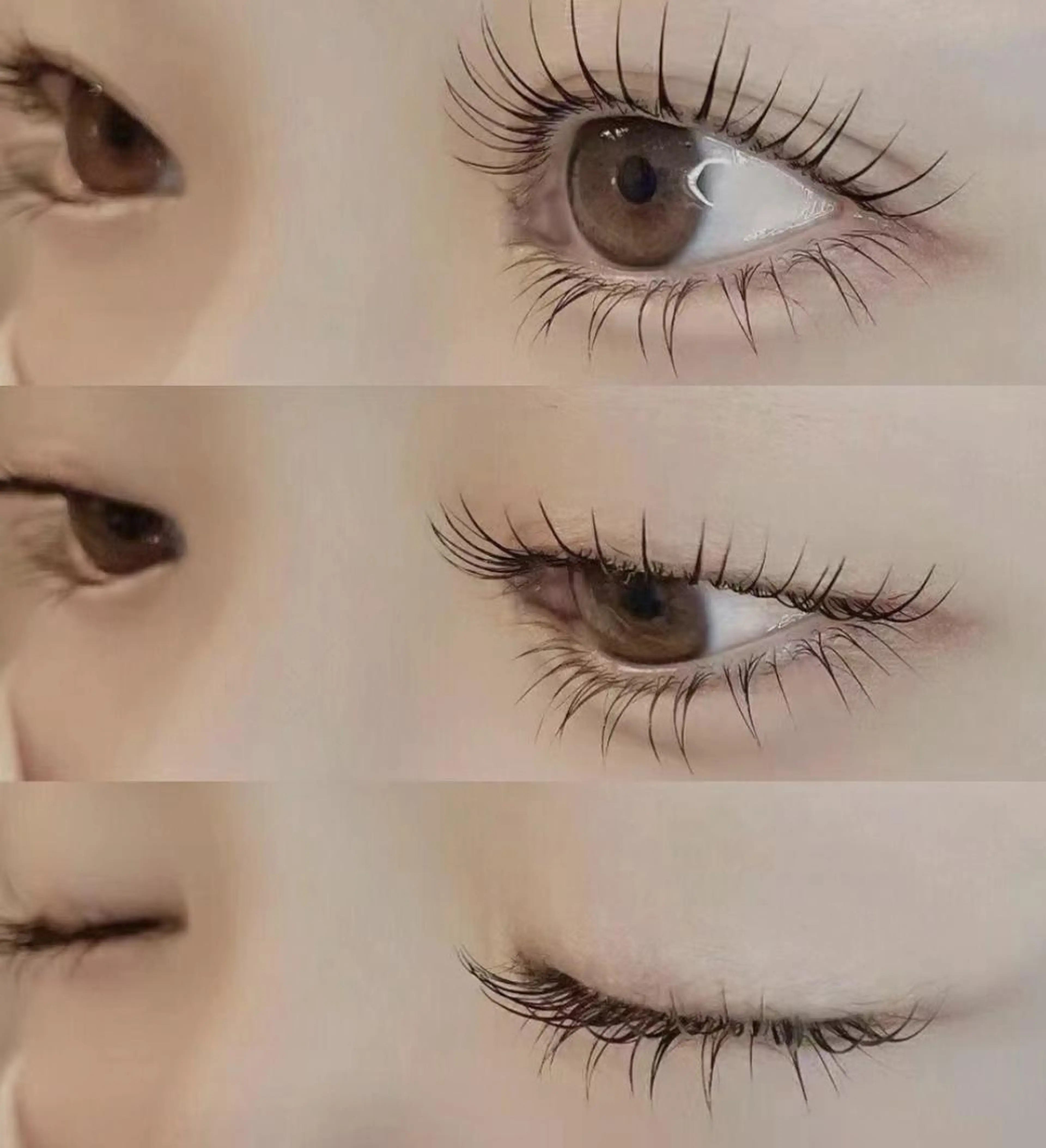 マツエク・マツパ マツパ ナピュレ 西葛西店のマツエク・マツパデザイン