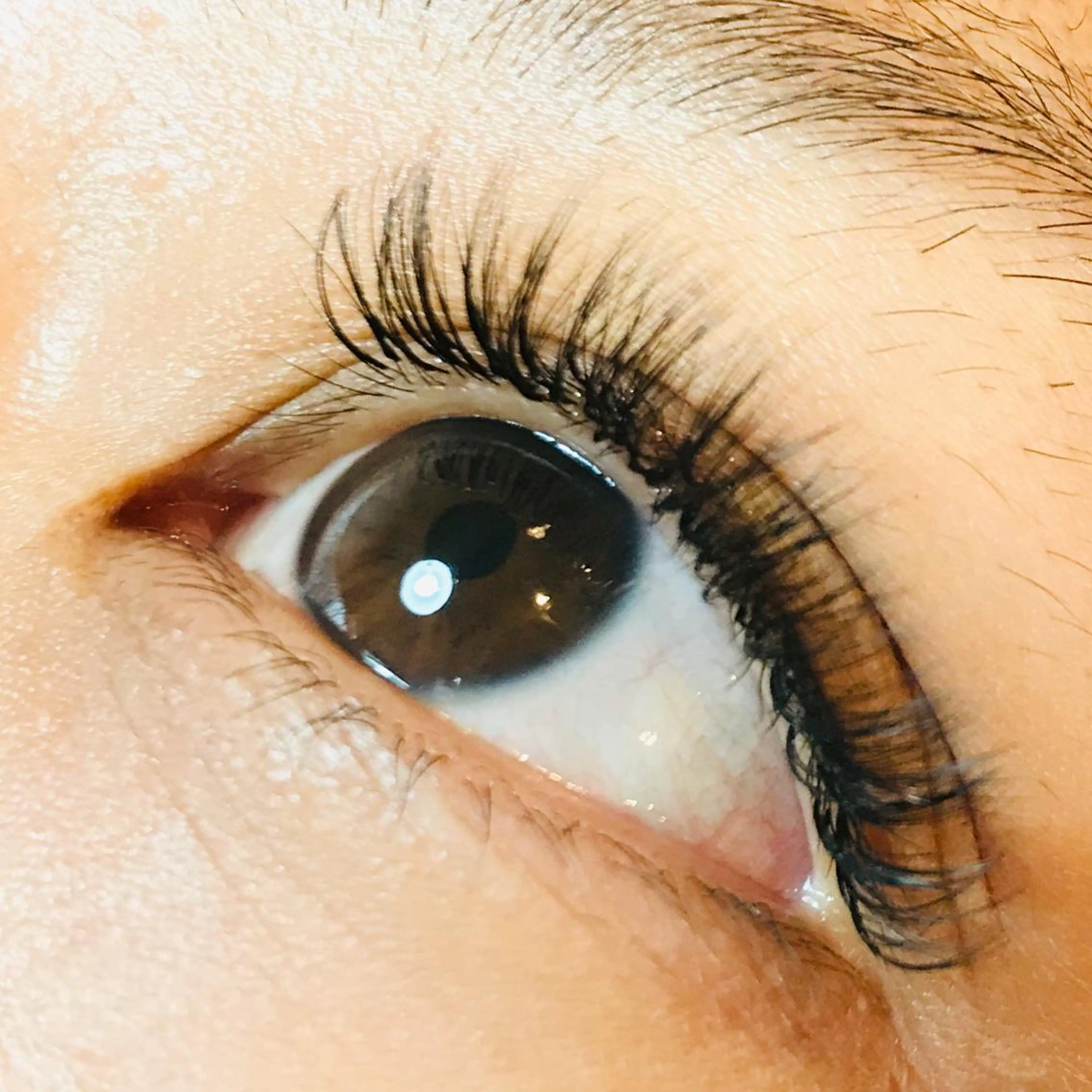 マツエク・マツパ Leola ERIKAのマツエク・マツパデザイン