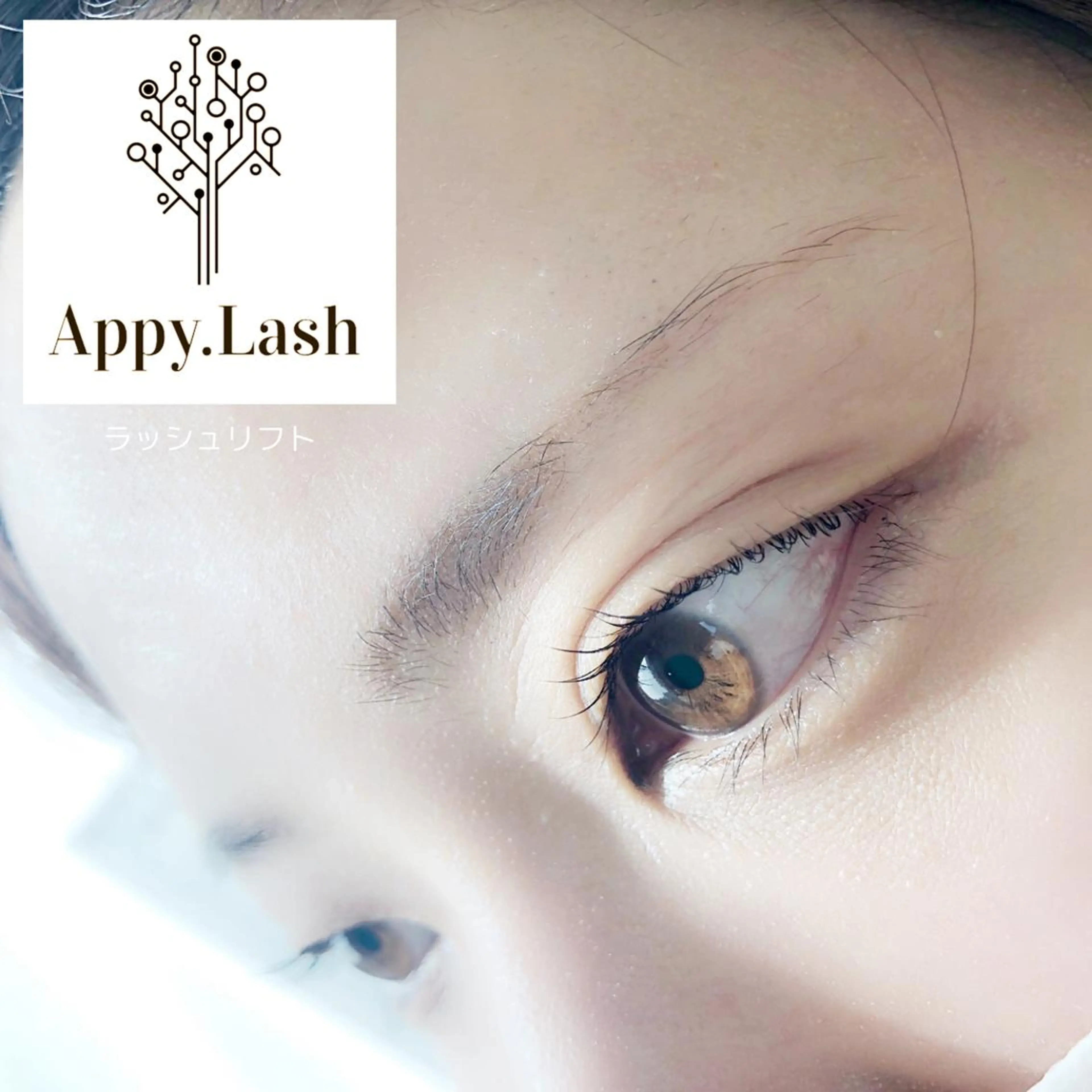 マツエク・マツパ まつげと眉の専門店 Appy.Lashのマツエク・マツパデザイン
