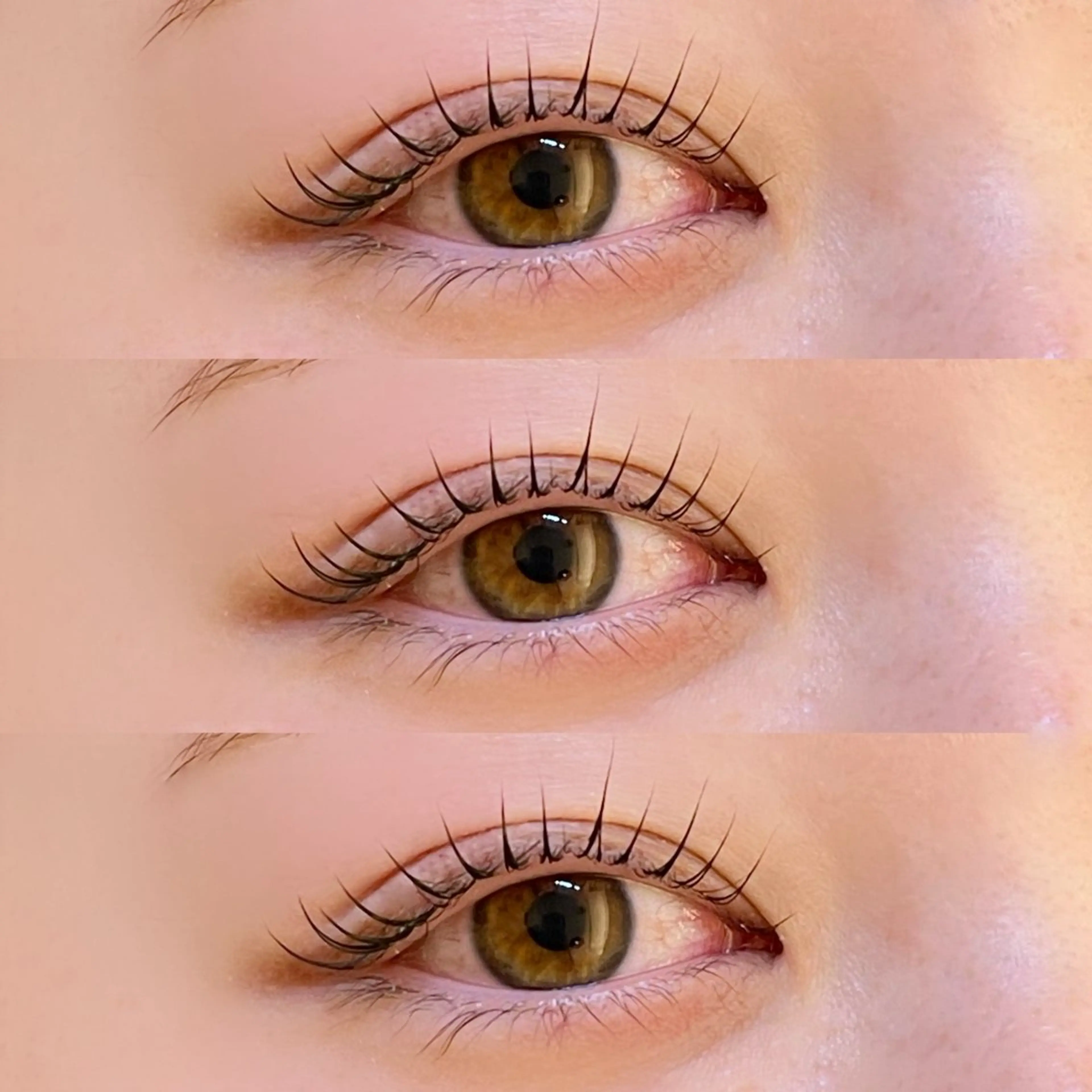 パーマ マツパ モテ眉No.1🤍 Rino.yの眉毛・アイブロウイメージ