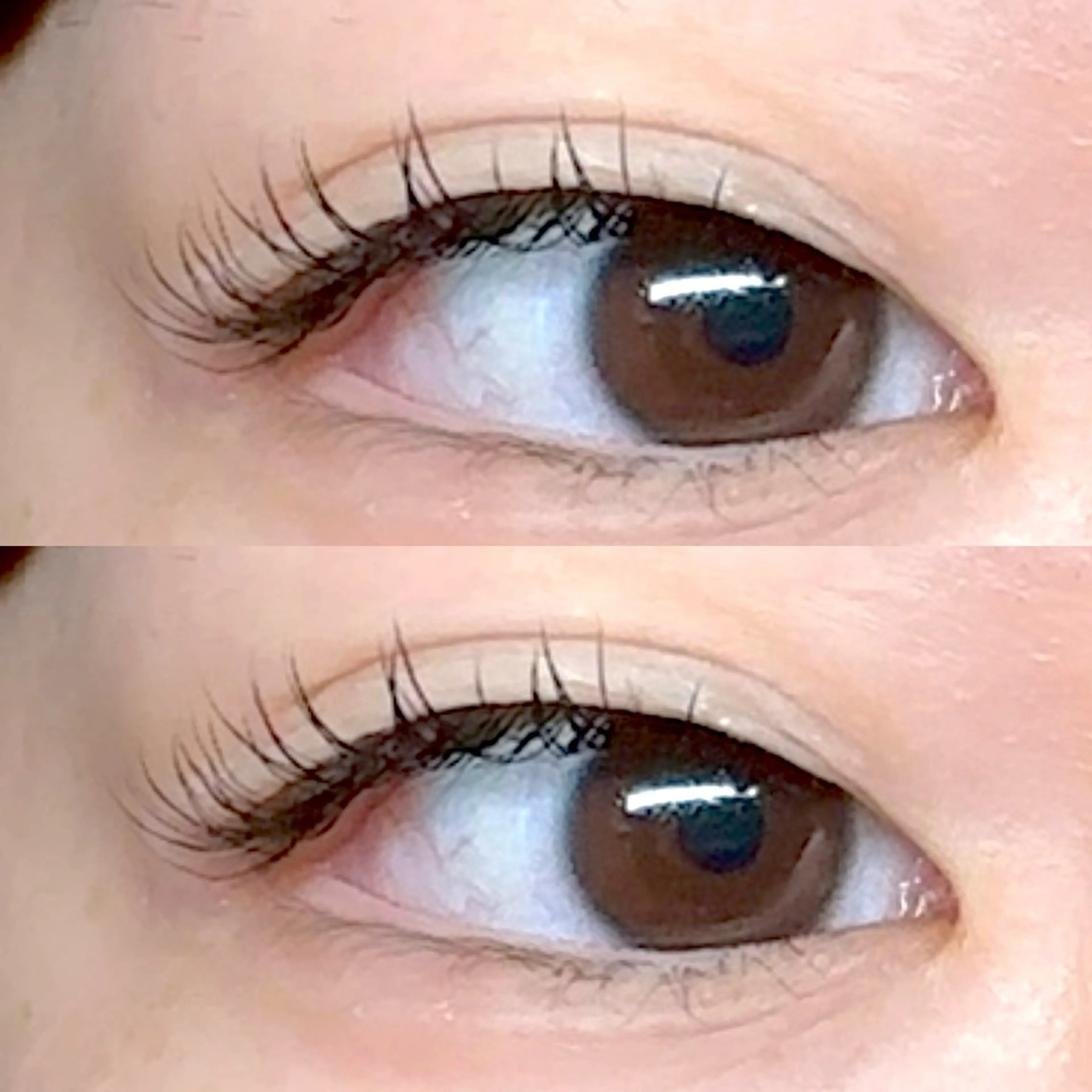 マツエク・マツパ Arumasu所属・Arumasu すずなのマツエク・マツパデザイン