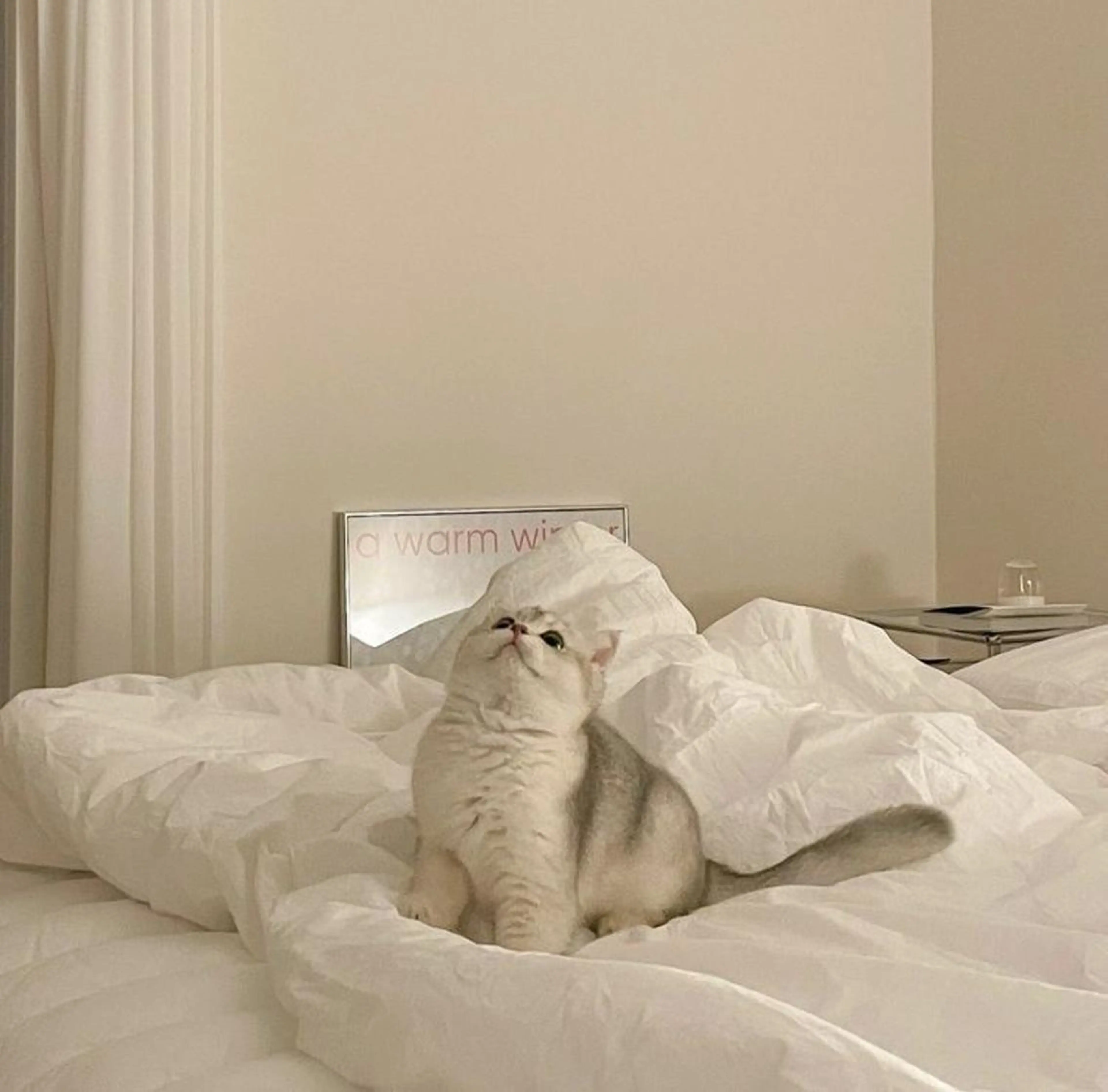 oyanagi 〰️の眉毛・アイブロウイメージ