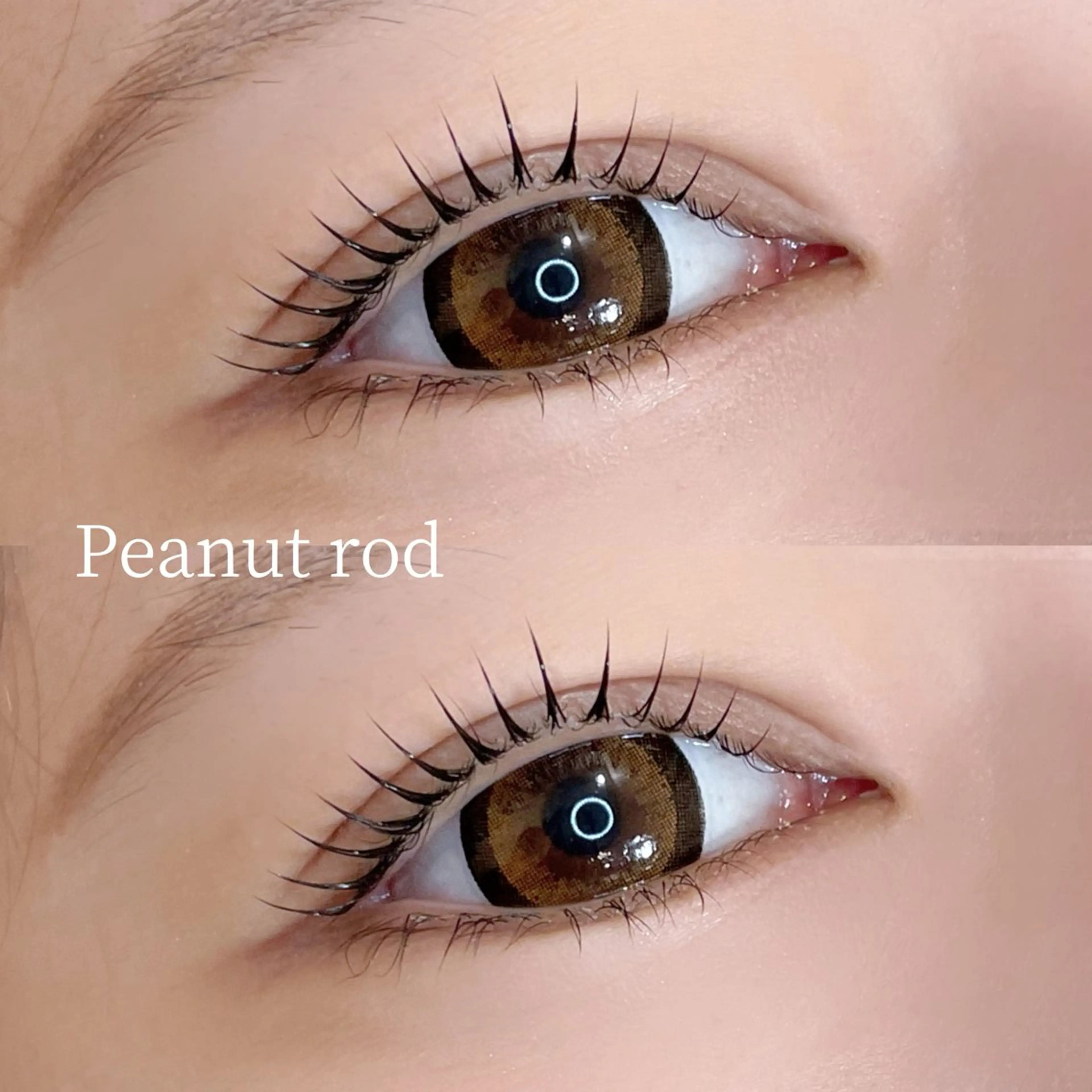 韓国初🇰🇷【ピーナツロッド】🥜♡の写真