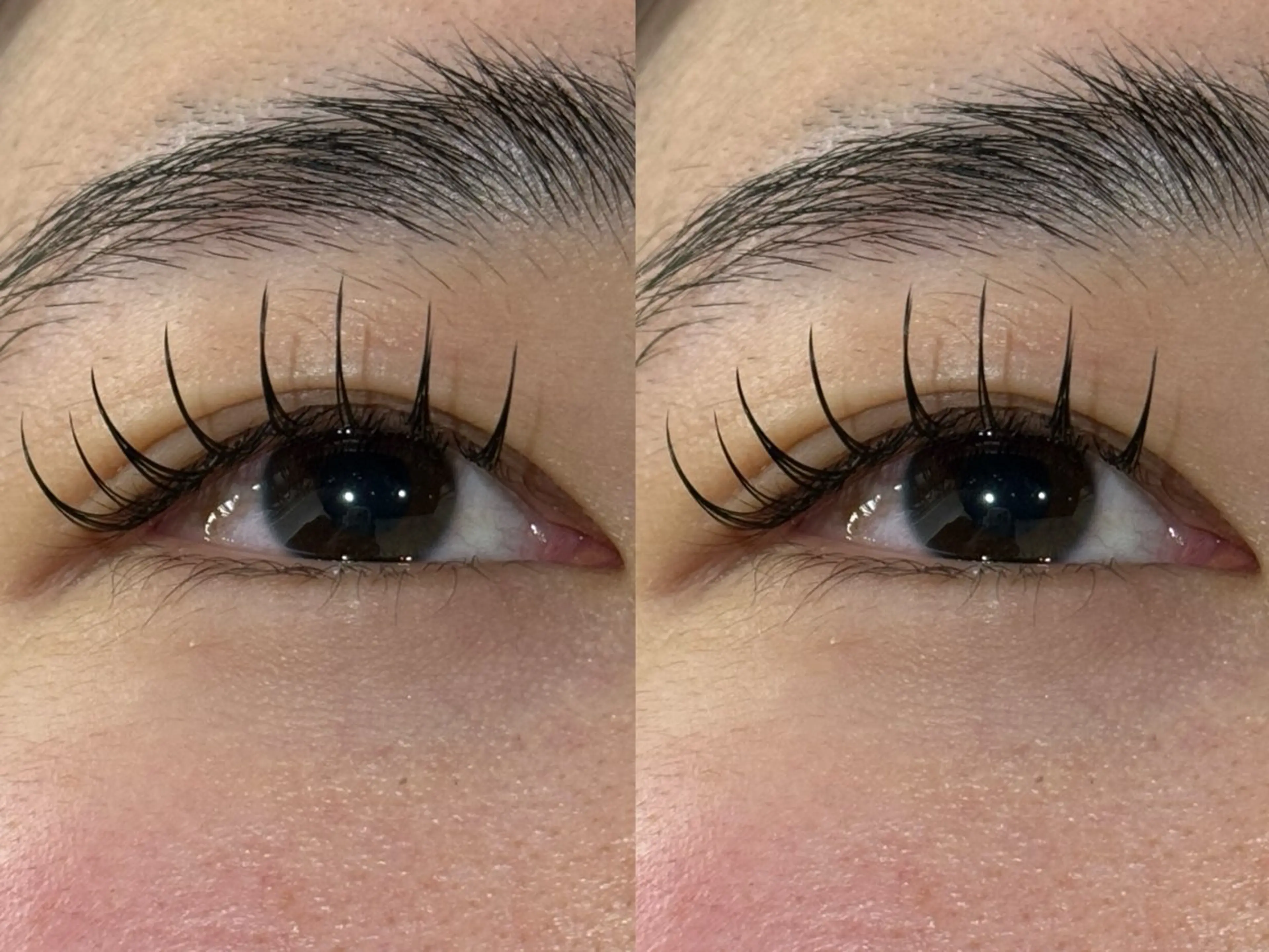 マツエク・マツパ マツパ 冬っぽカラー/ マツエク/ゆきなのマツエク・マツパデザイン