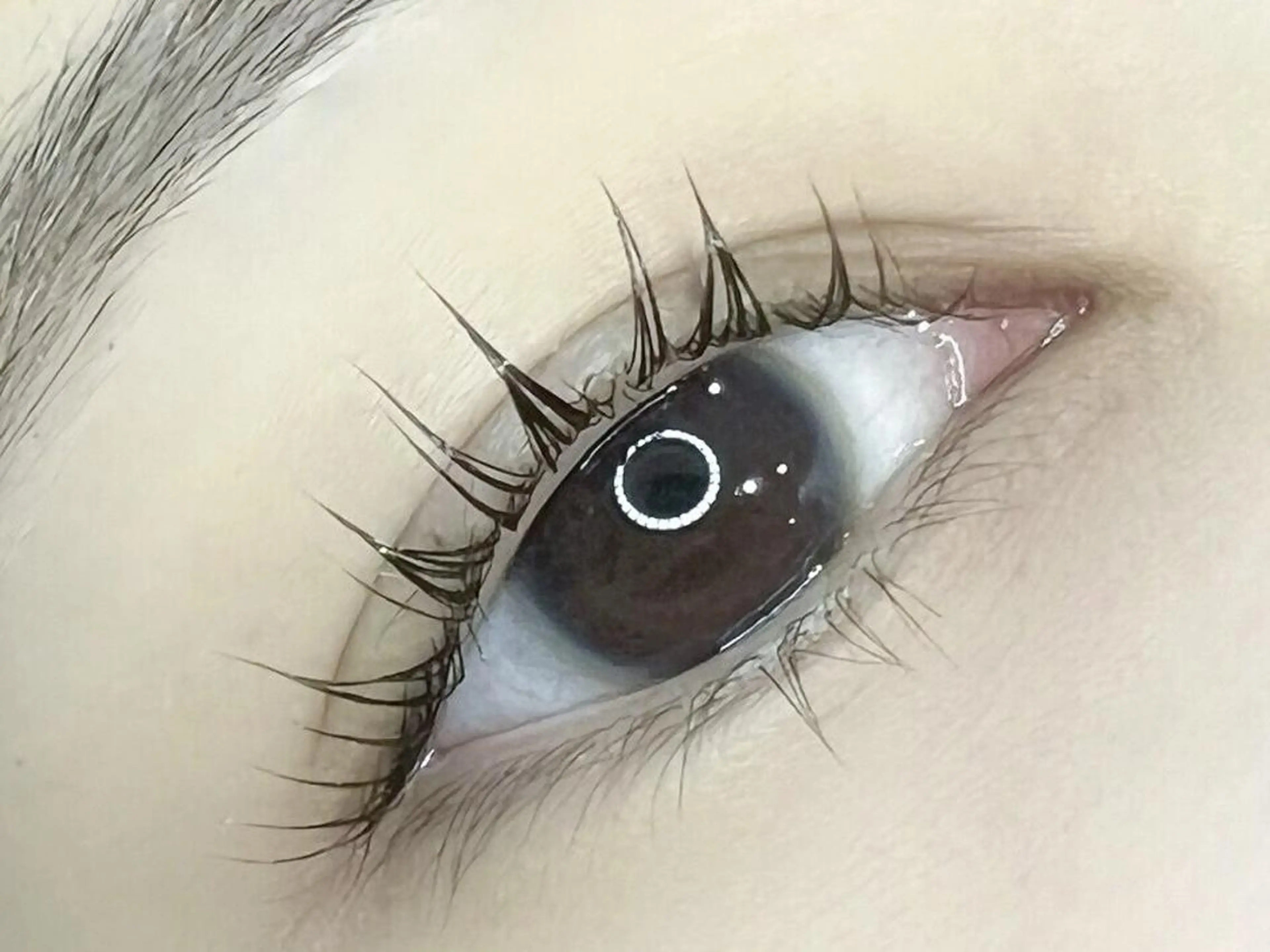 マツエク・マツパ マツパ eyelash LUNA BLANCの眉毛・アイブロウイメージ